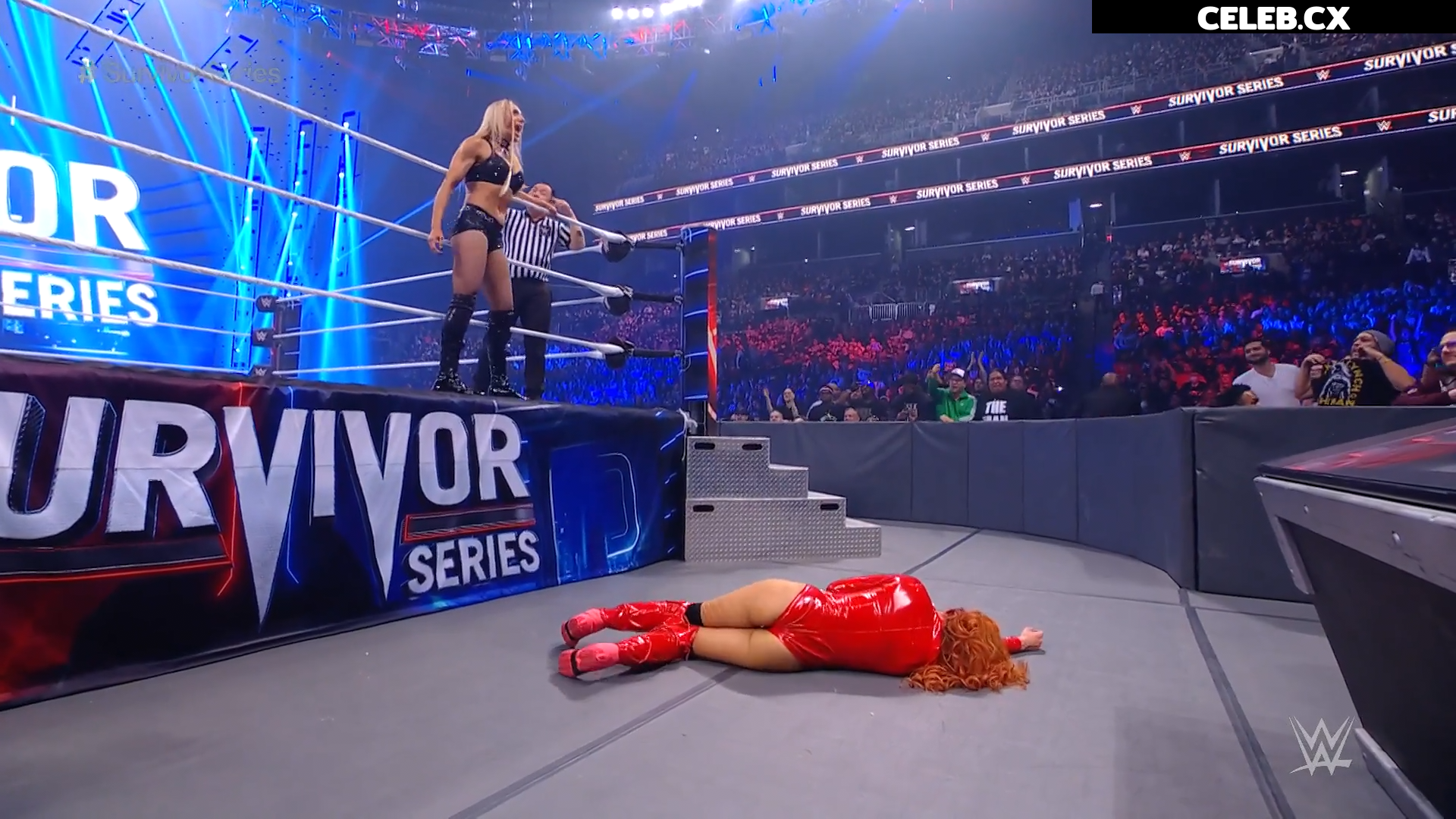 Women of Professional Wrestling Image 4401726