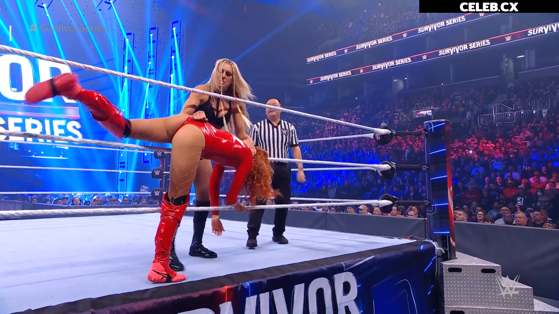 Women of Professional Wrestling Image 4401137