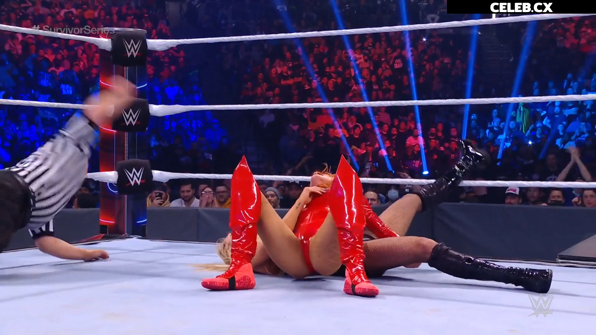 Women of Professional Wrestling Image 4401372