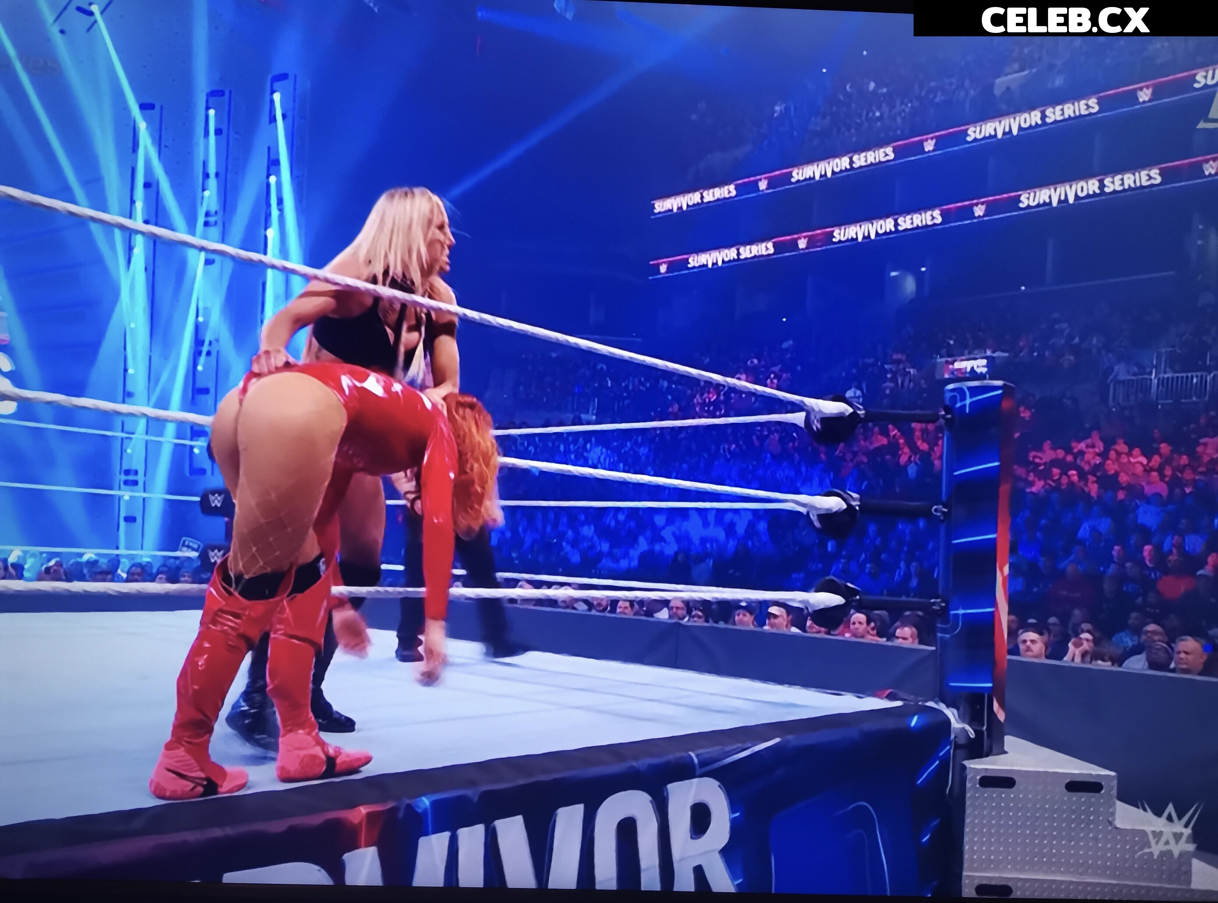Women of Professional Wrestling Image 4402199