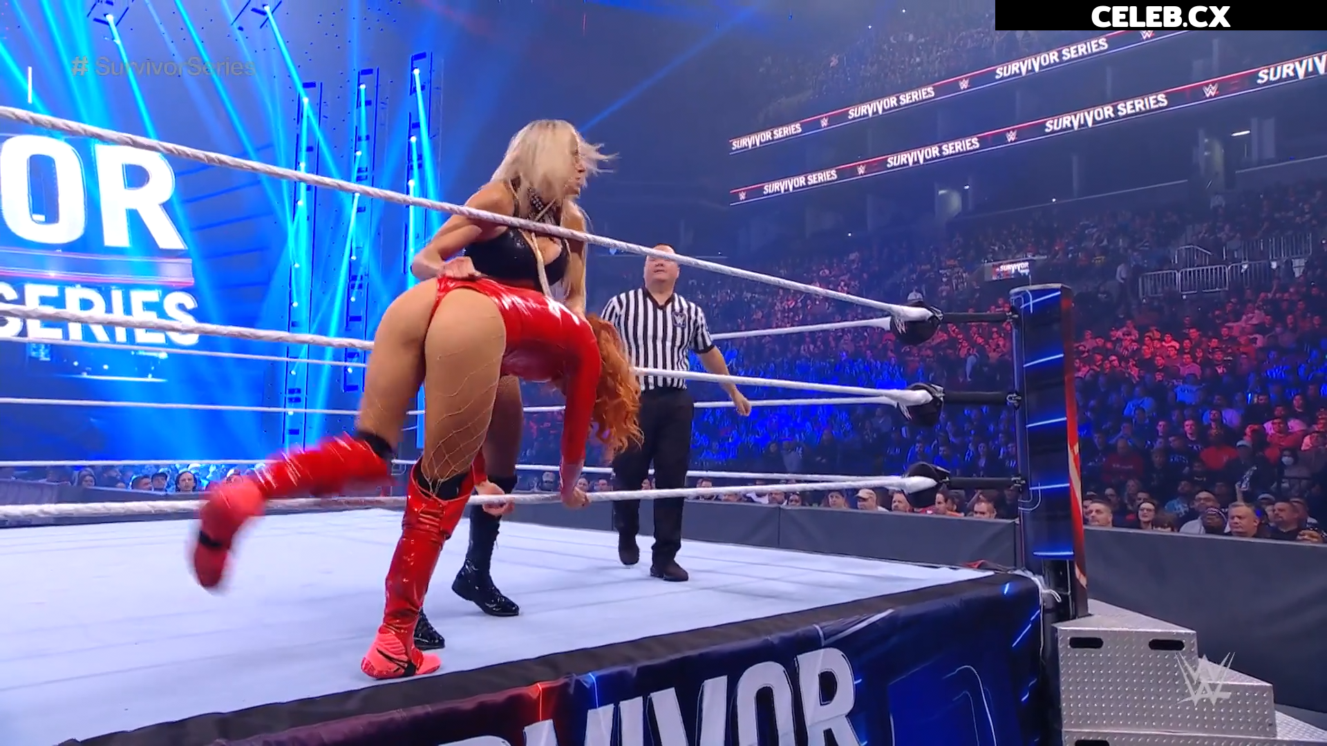 Women of Professional Wrestling Image 4402152