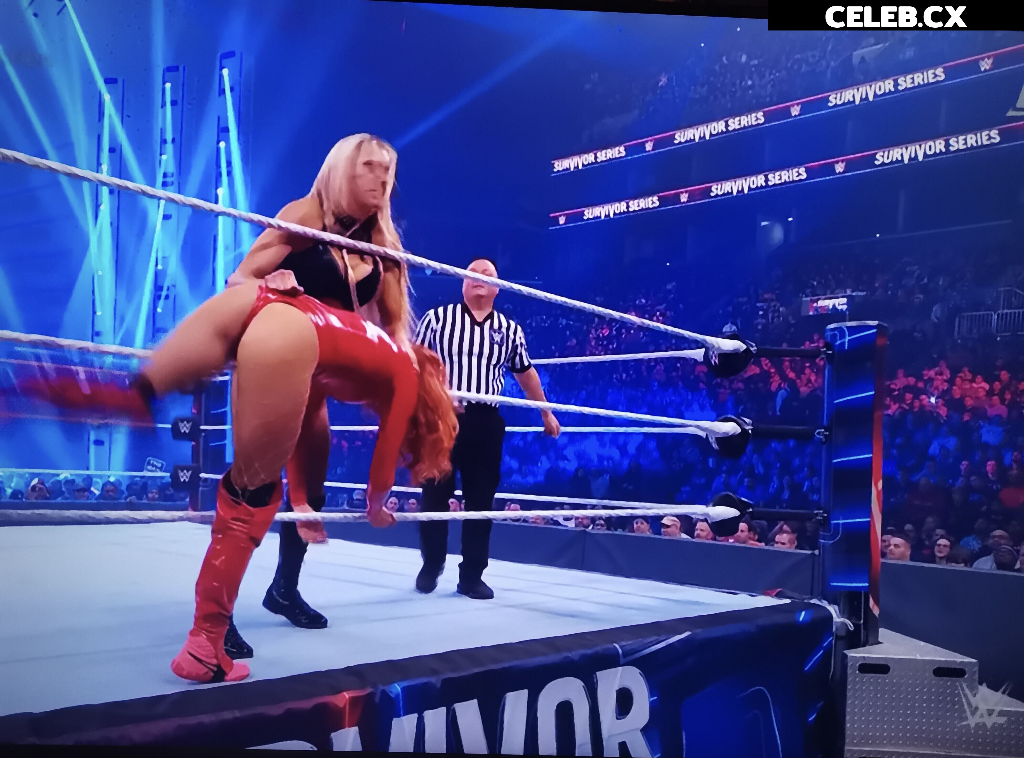 Women of Professional Wrestling Image 4402248