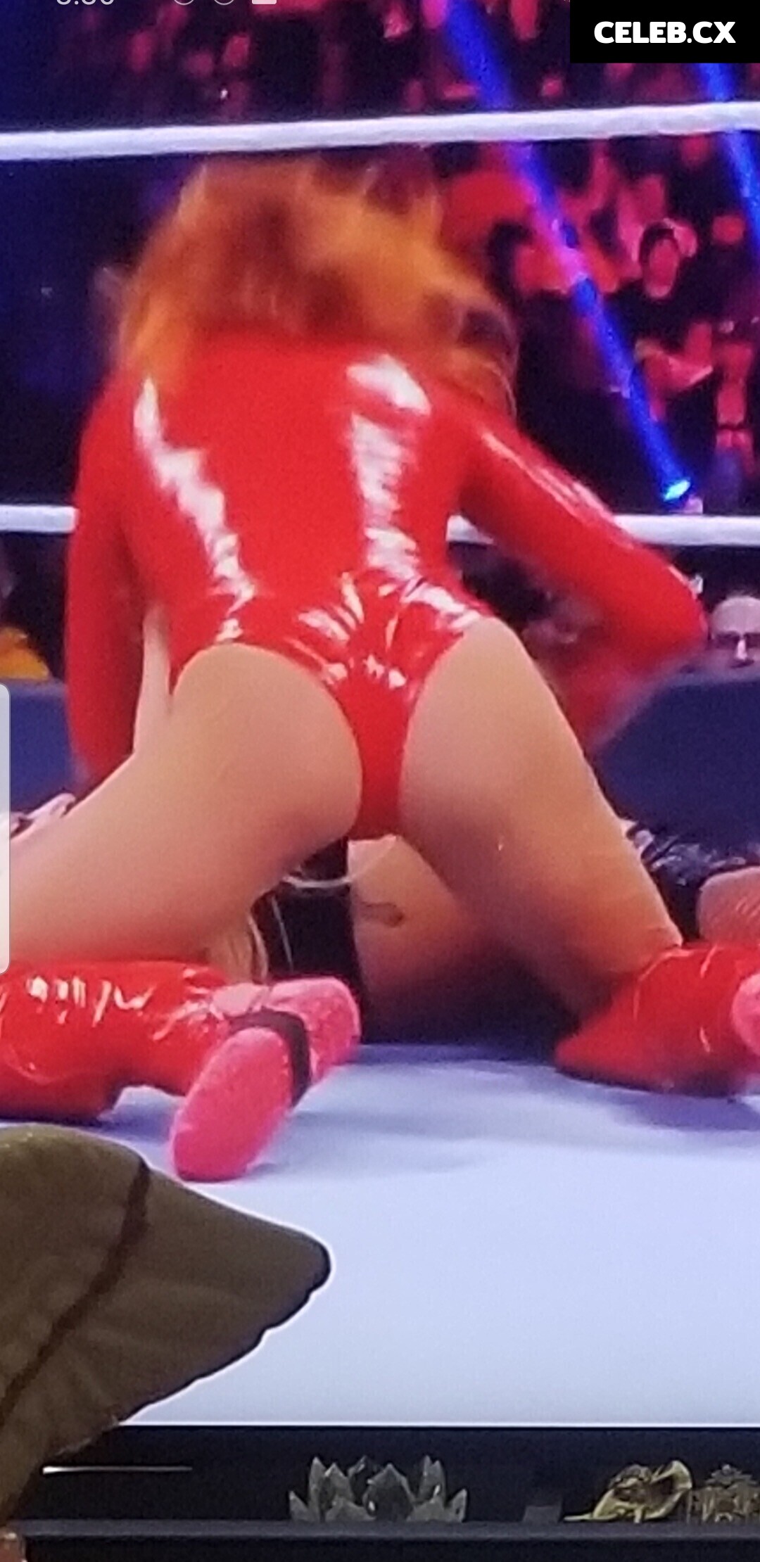 Women of Professional Wrestling Image 4402265