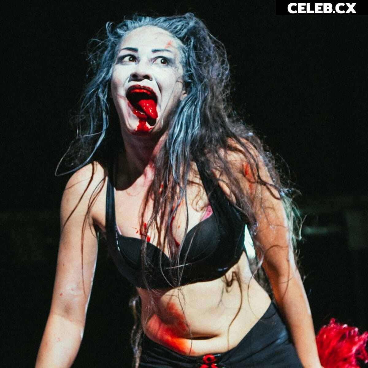 Women of Professional Wrestling Image 4403985