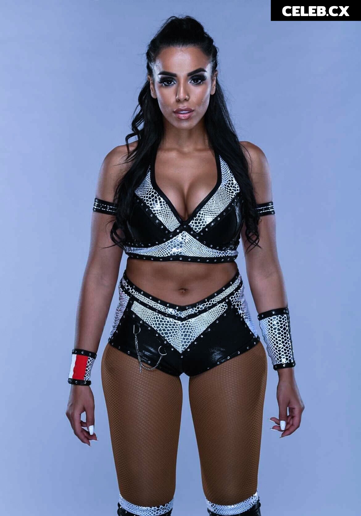 Women of Professional Wrestling Image 4408636