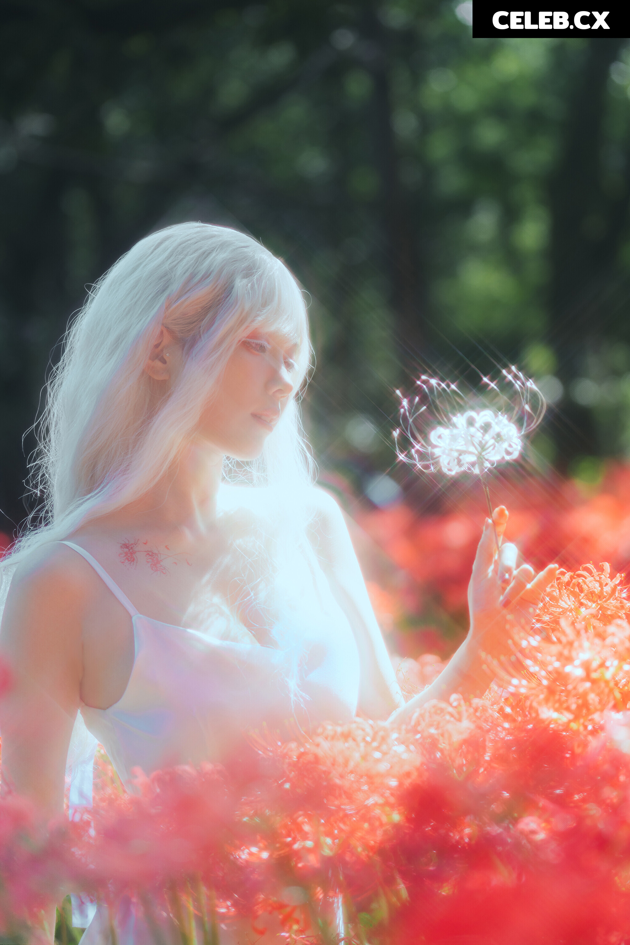 eeelyeee (Ely Cosplay) Image 7191485