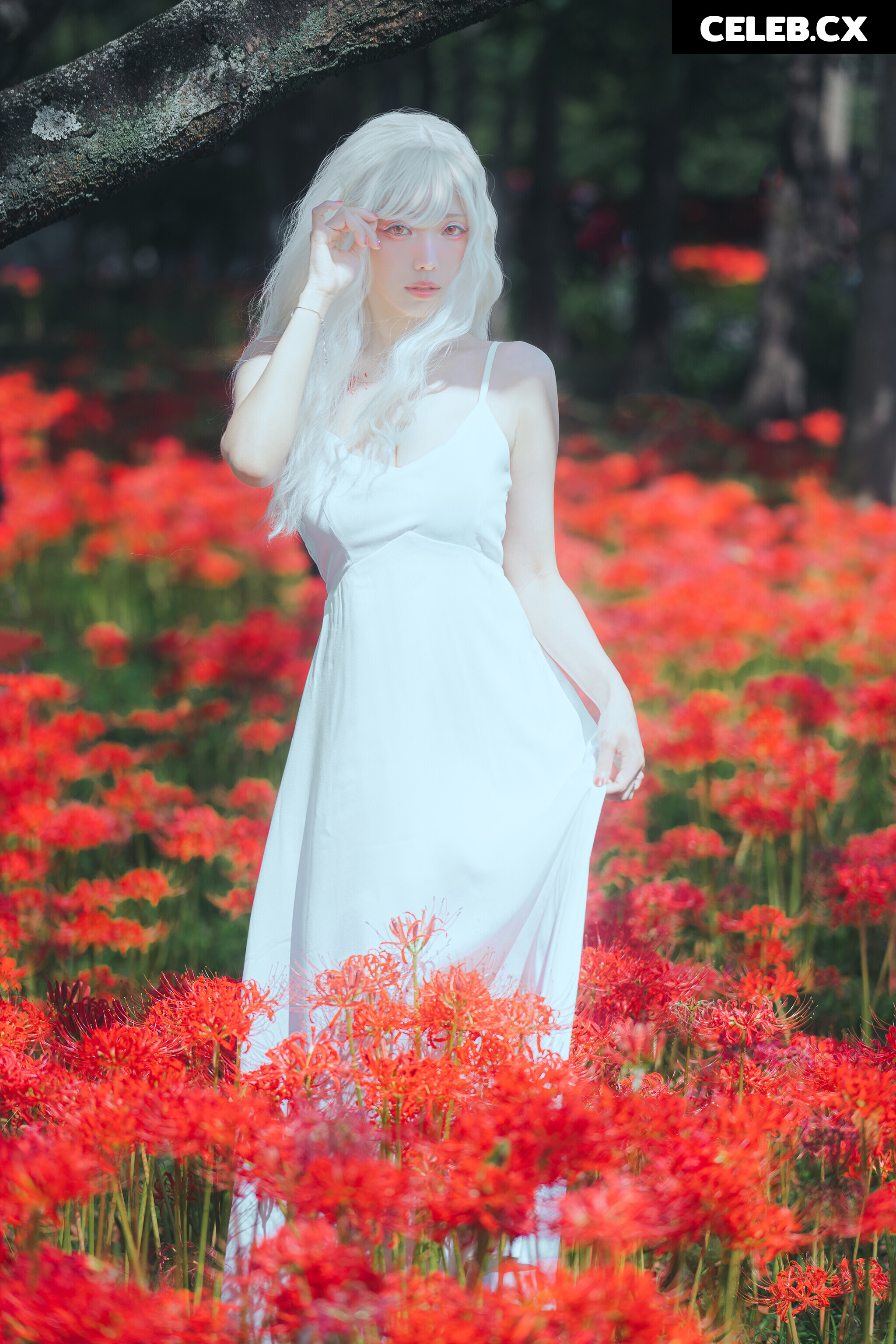 eeelyeee (Ely Cosplay) Image 7191456