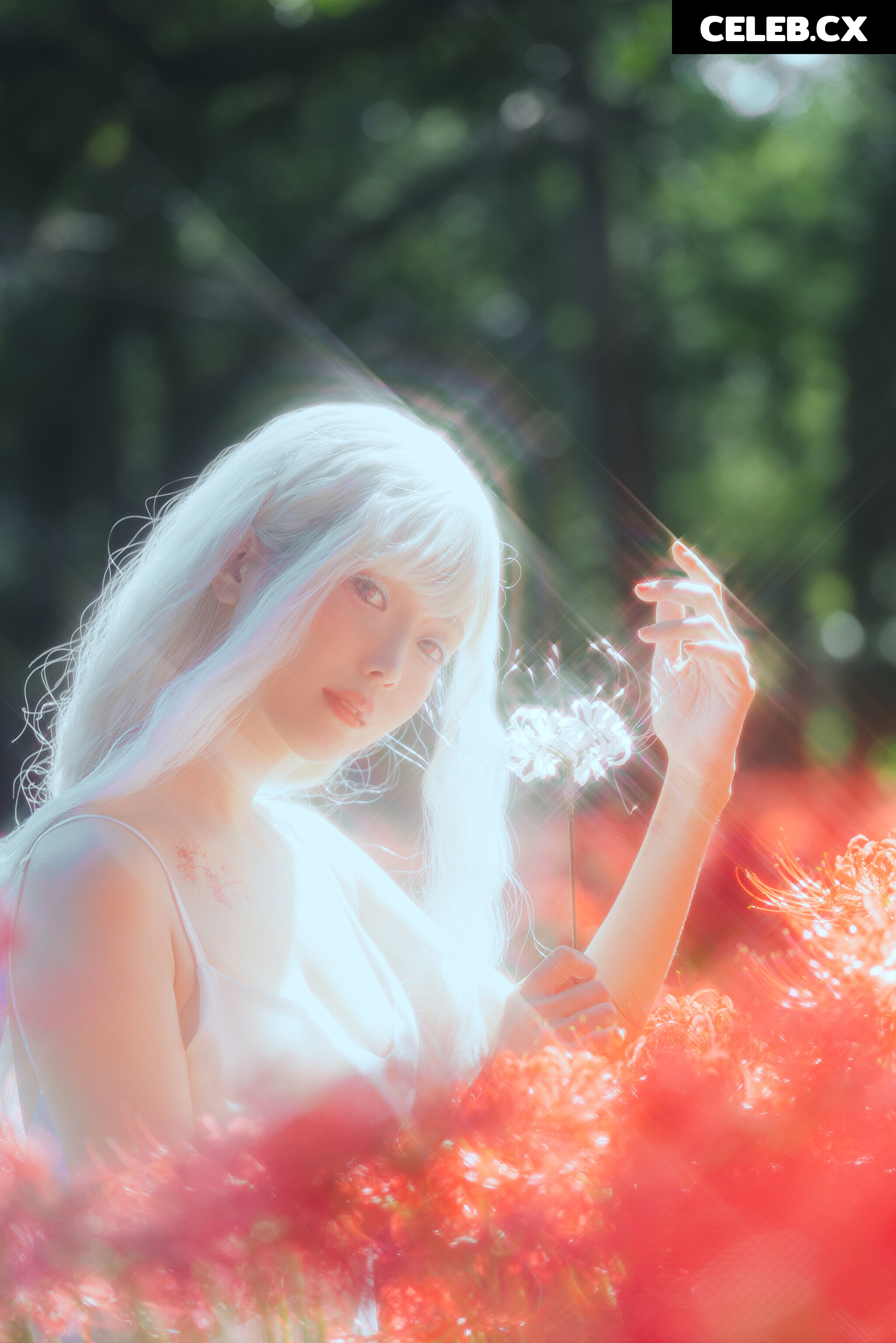eeelyeee (Ely Cosplay) Image 7191479