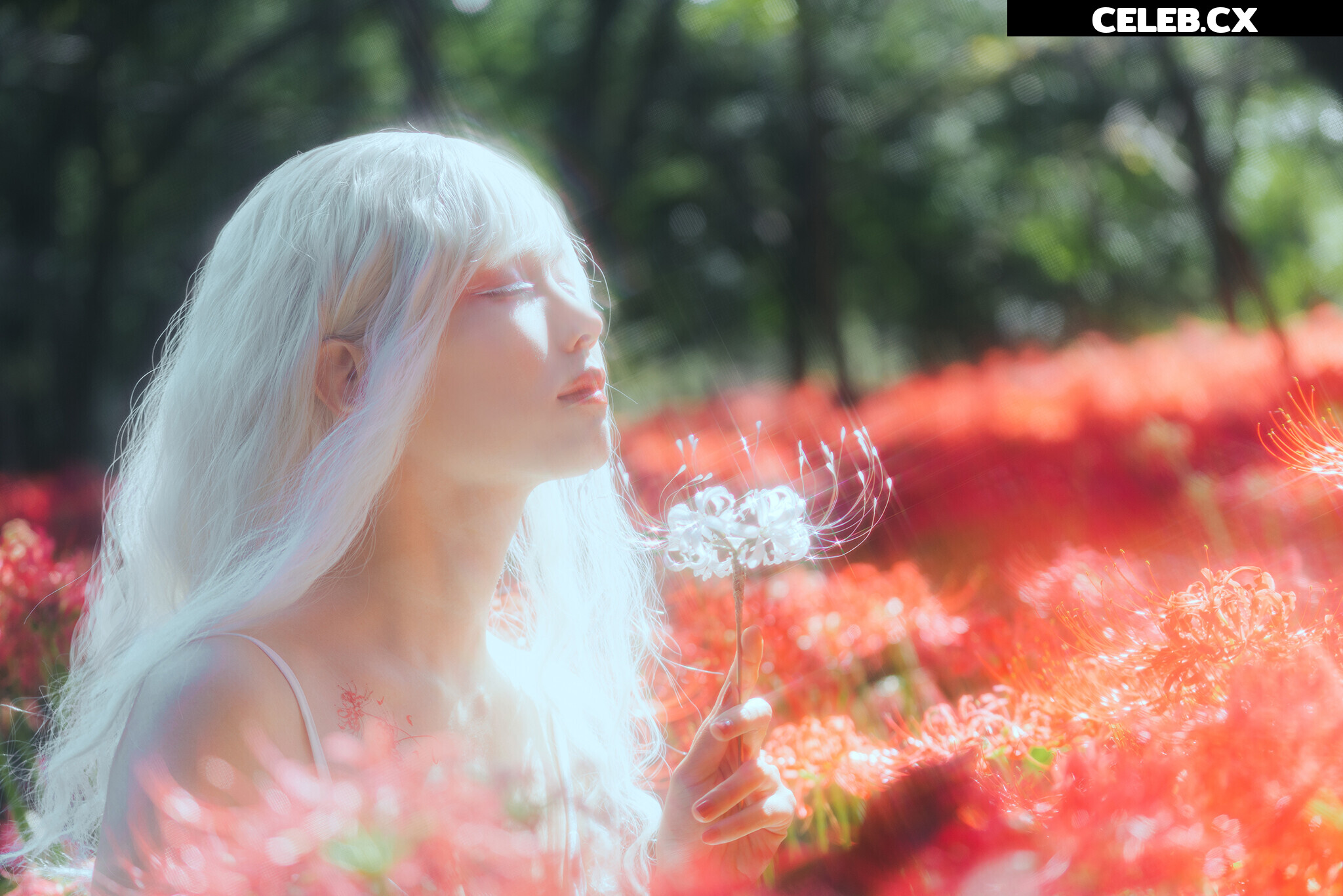 eeelyeee (Ely Cosplay) Image 7191478