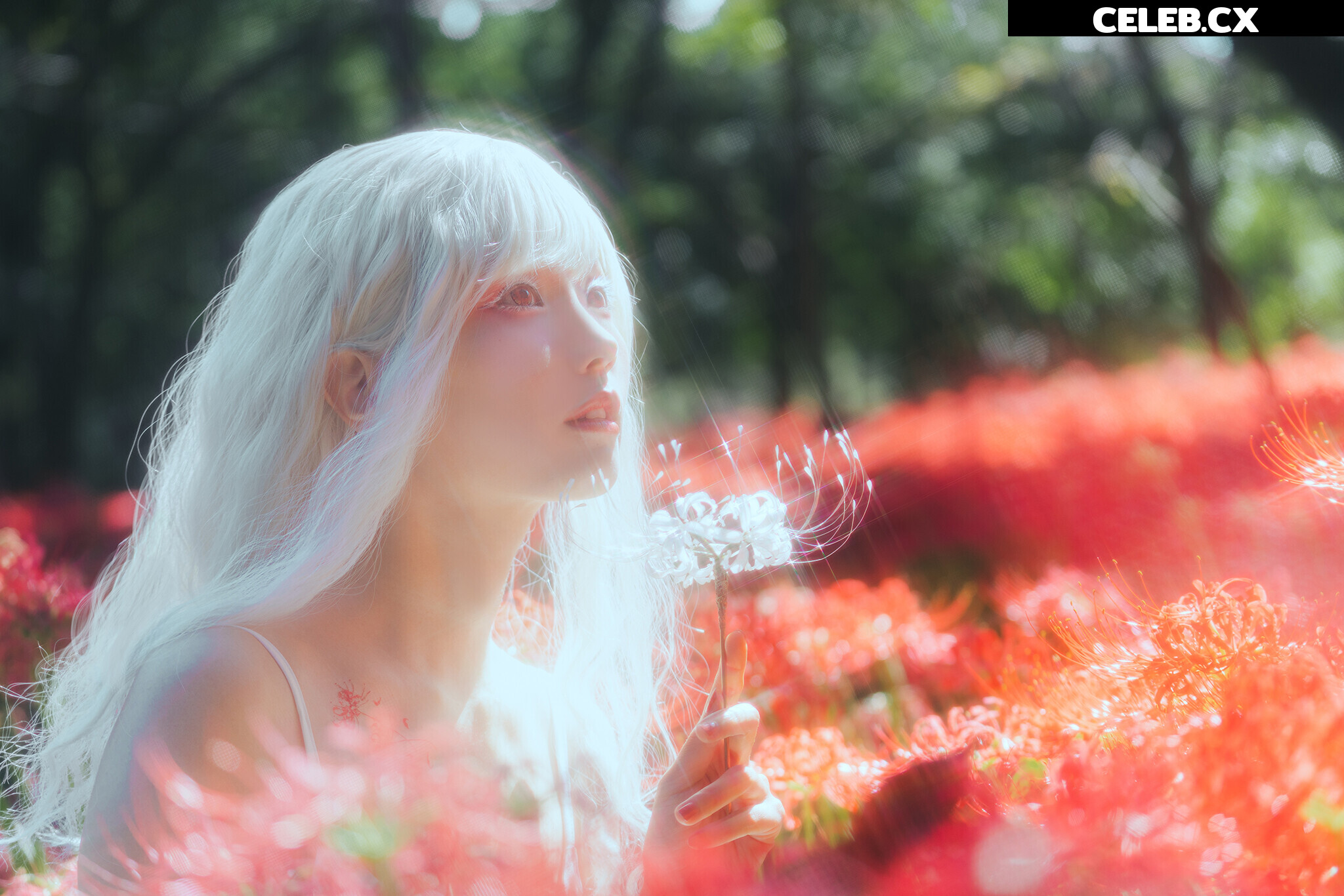 eeelyeee (Ely Cosplay) Image 7191477