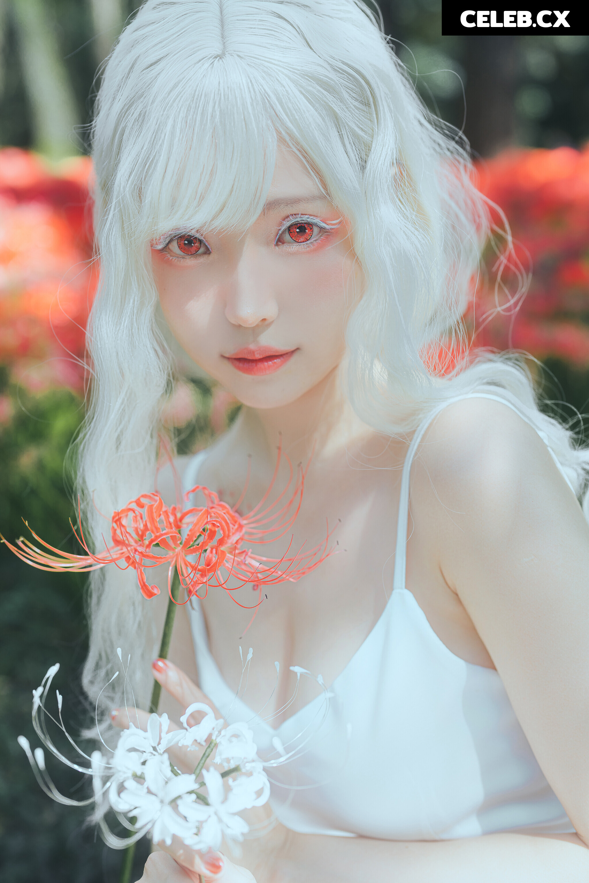 eeelyeee (Ely Cosplay) Image 7191467