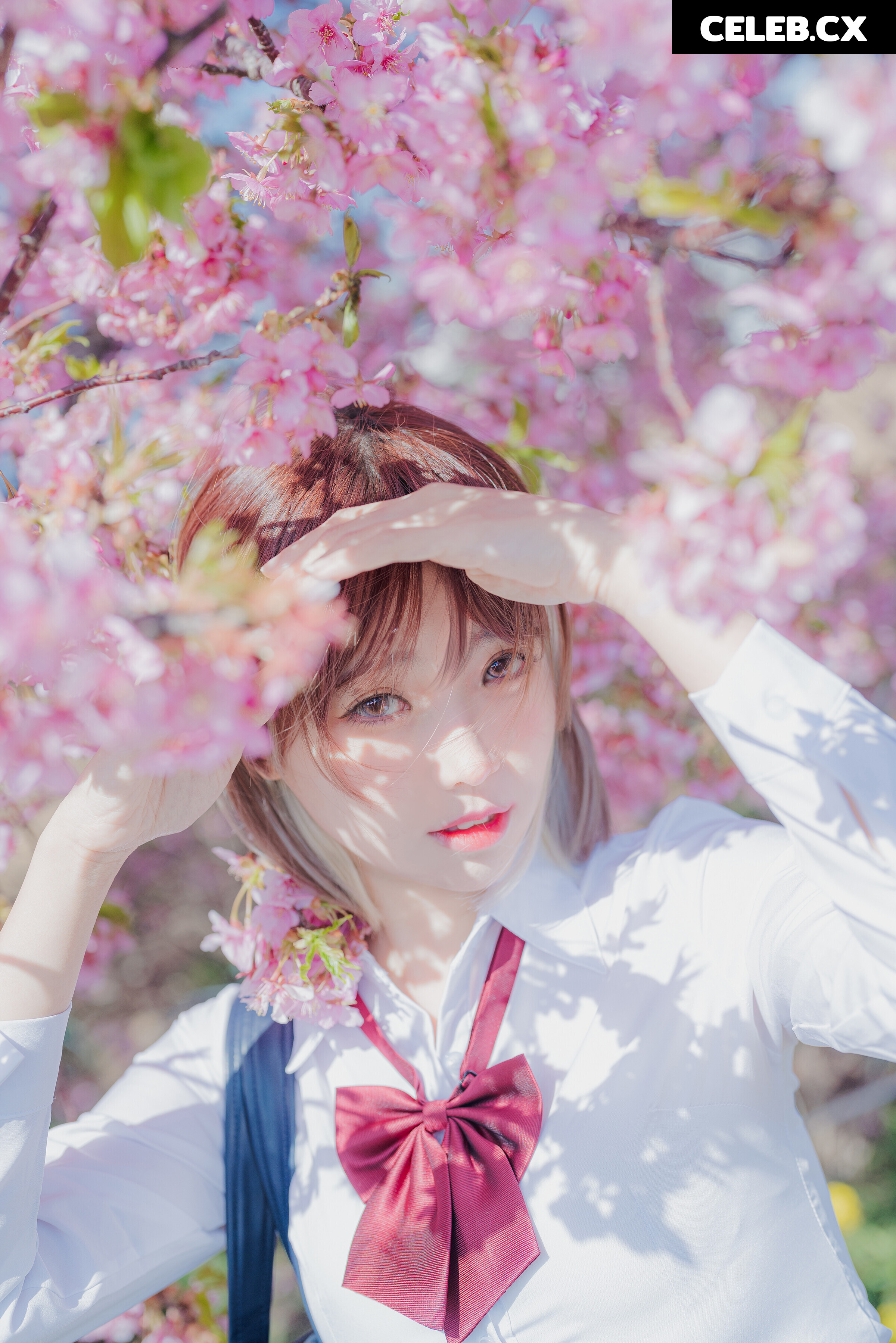 eeelyeee (Ely Cosplay) Image 7191945
