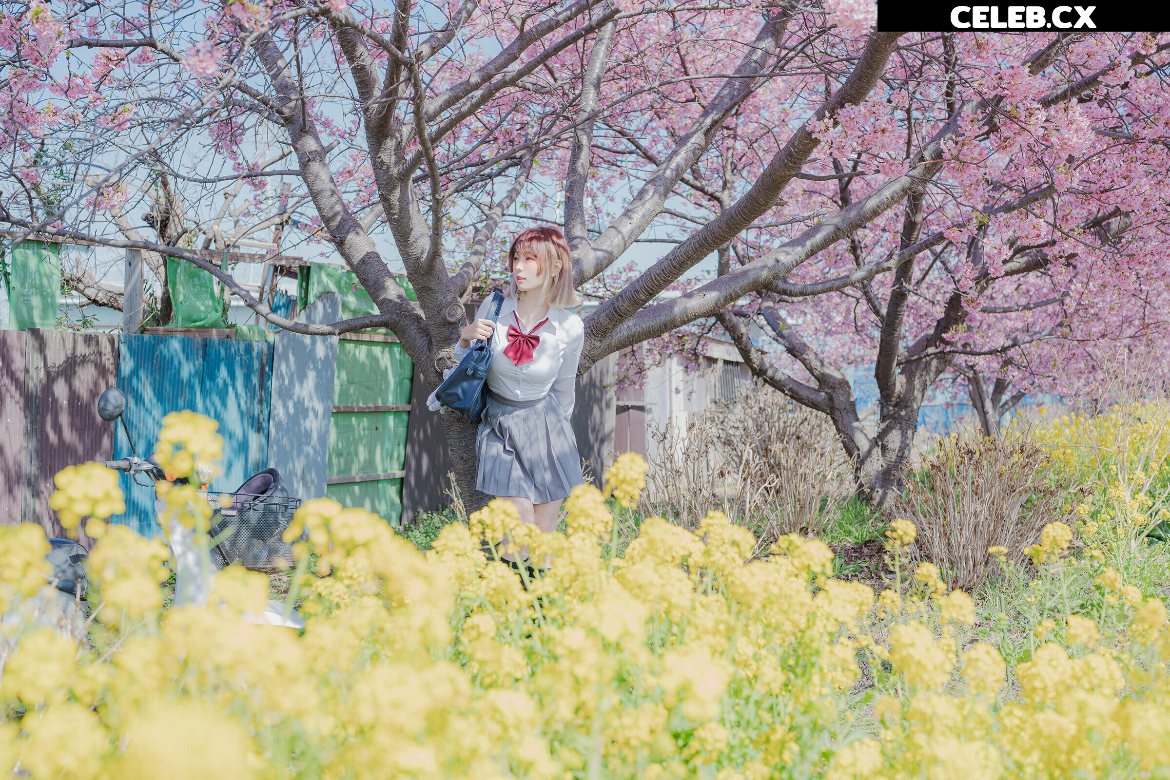 eeelyeee (Ely Cosplay) Image 7191911