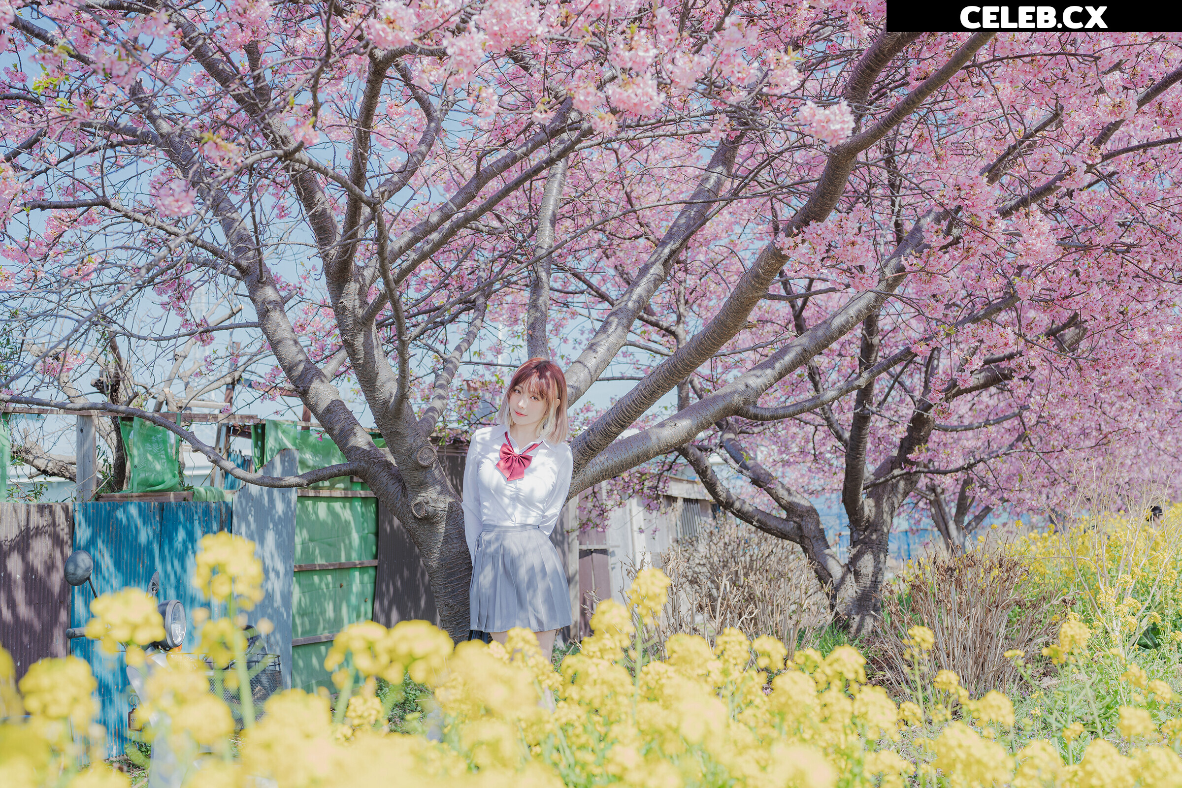 eeelyeee (Ely Cosplay) Image 7191913