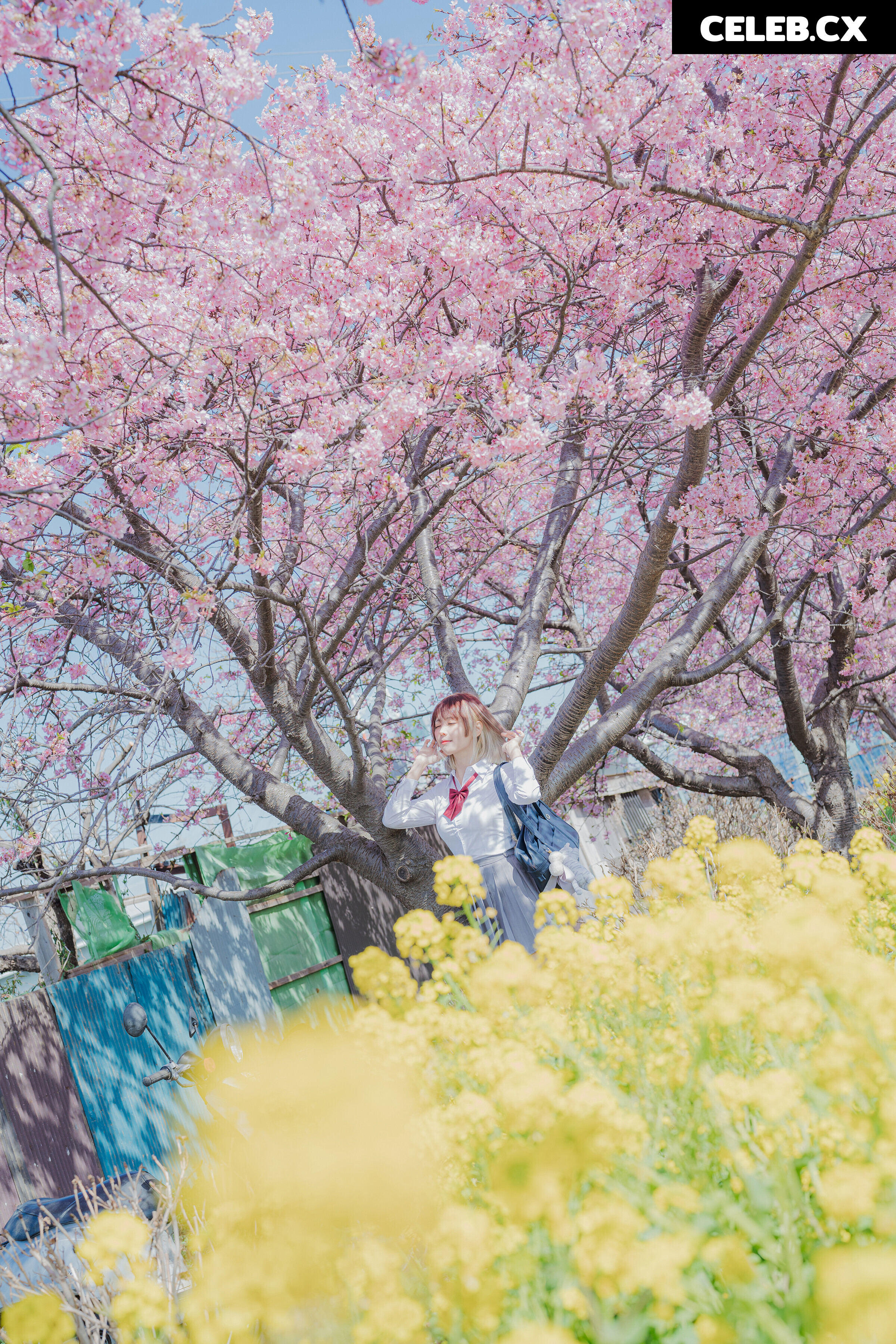 eeelyeee (Ely Cosplay) Image 7191915