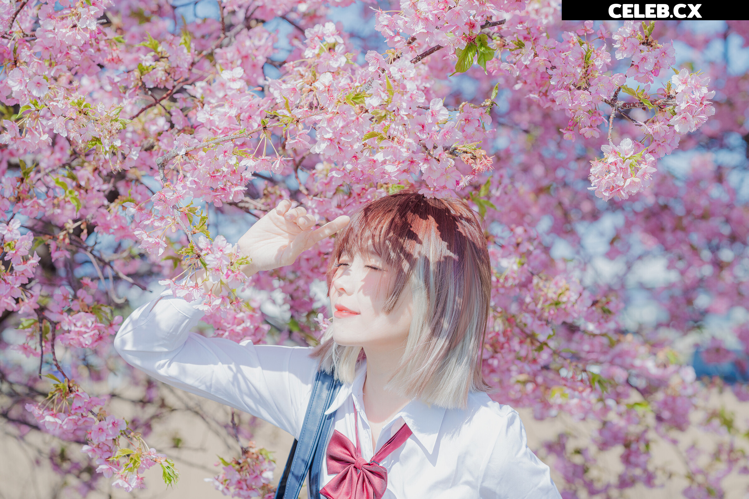 eeelyeee (Ely Cosplay) Image 7191931