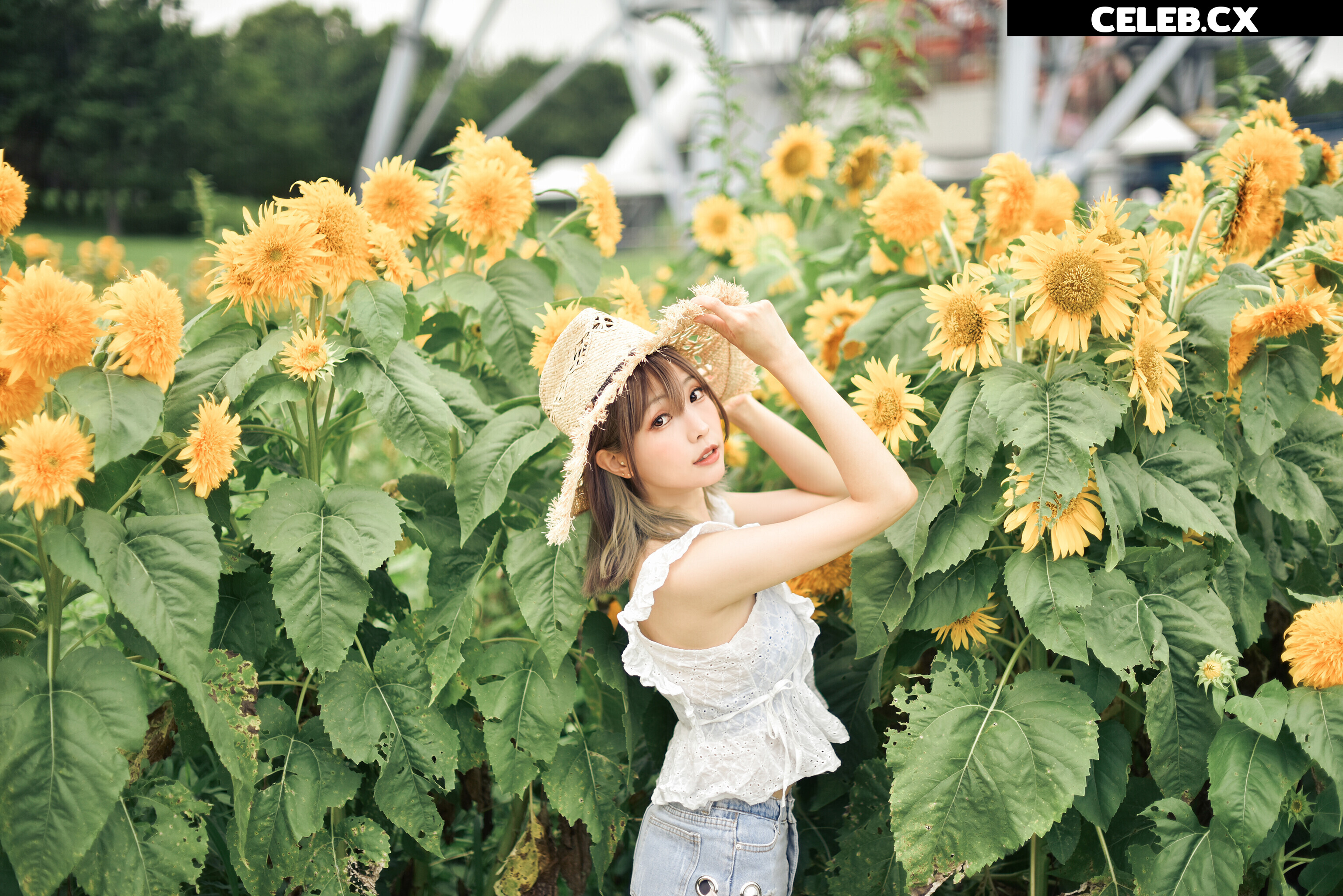 eeelyeee (Ely Cosplay) Image 7189412
