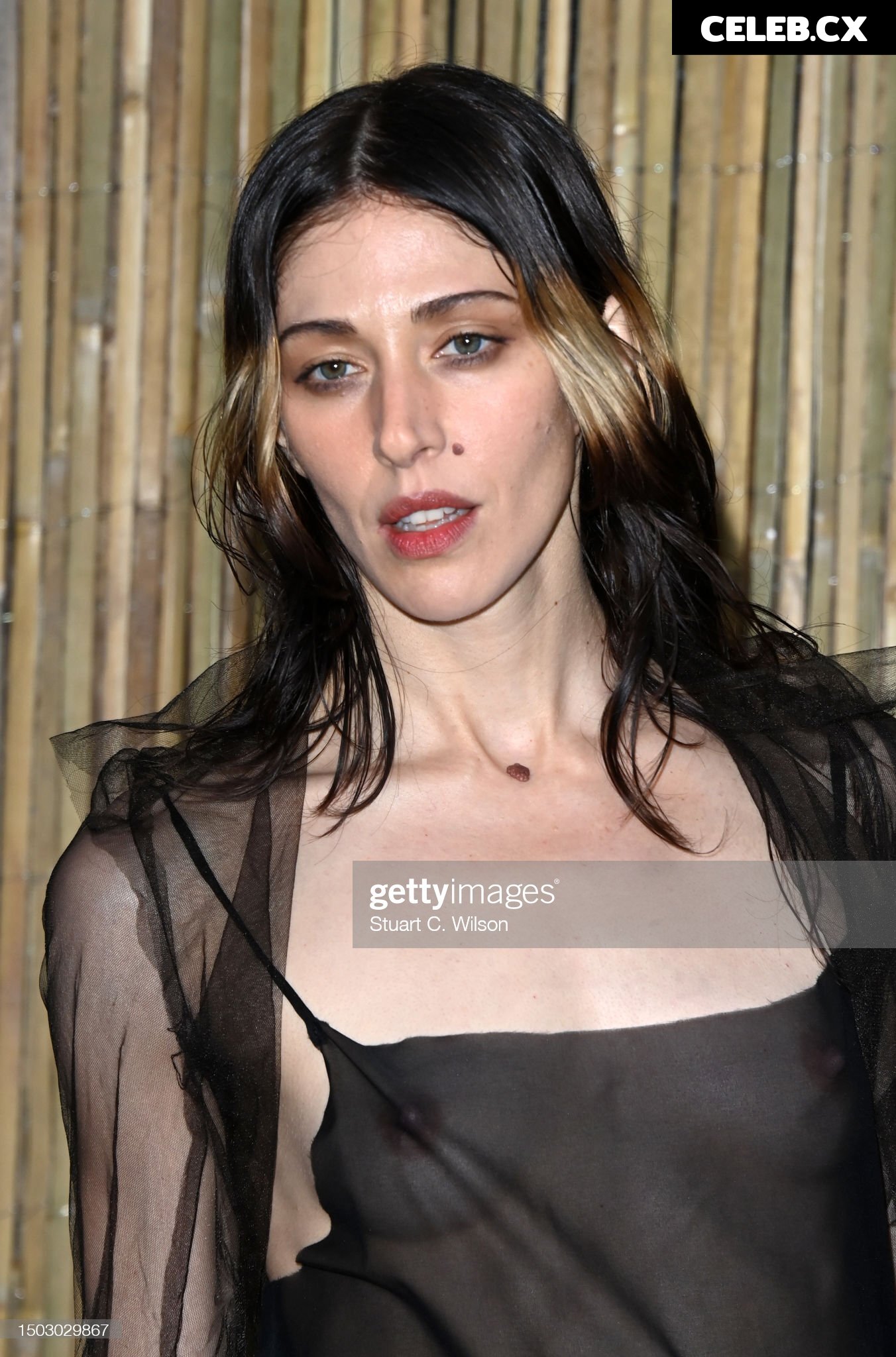 Caroline Polachek Image 7175483