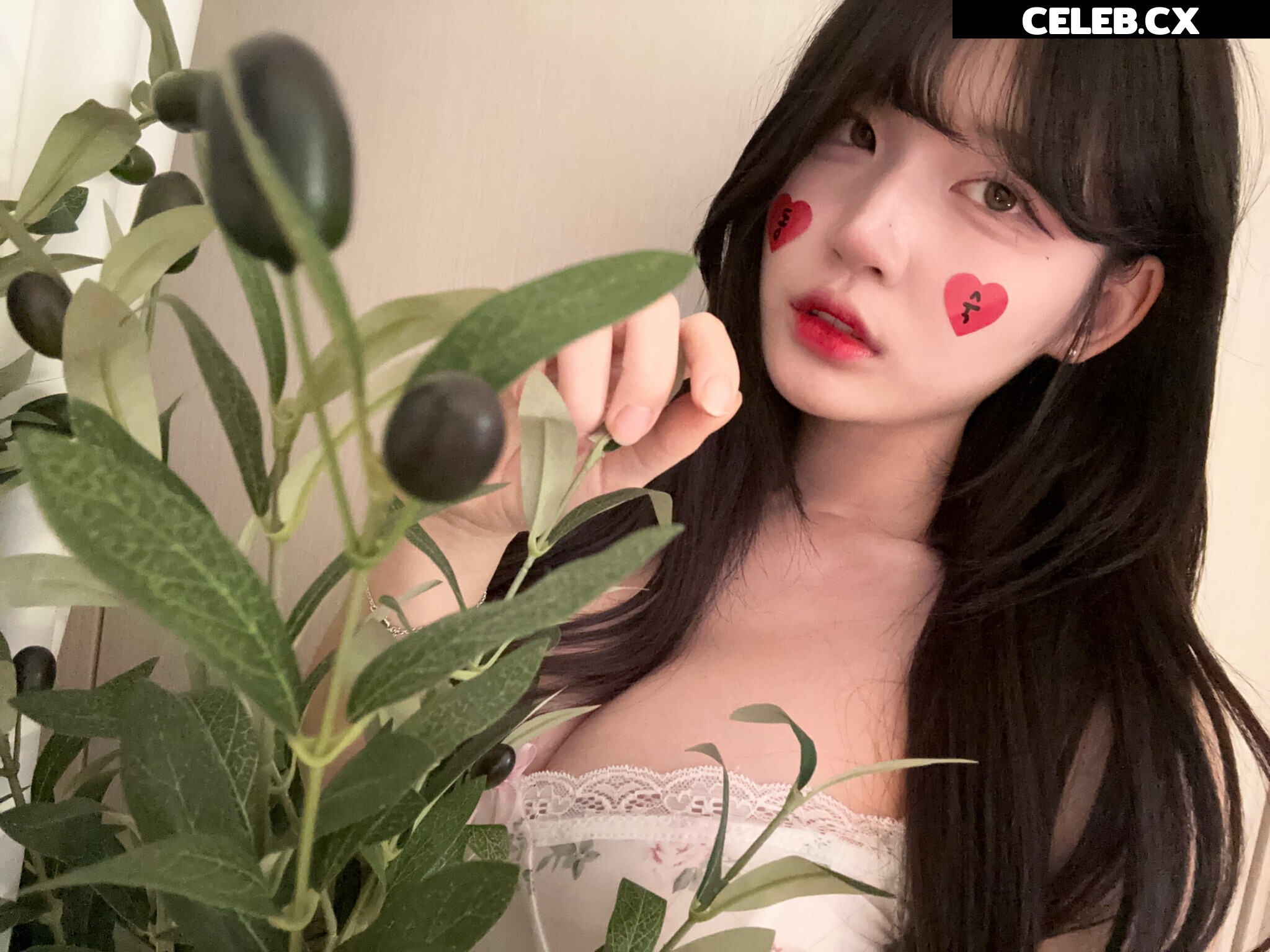 yule_.0.03 Image 7894840