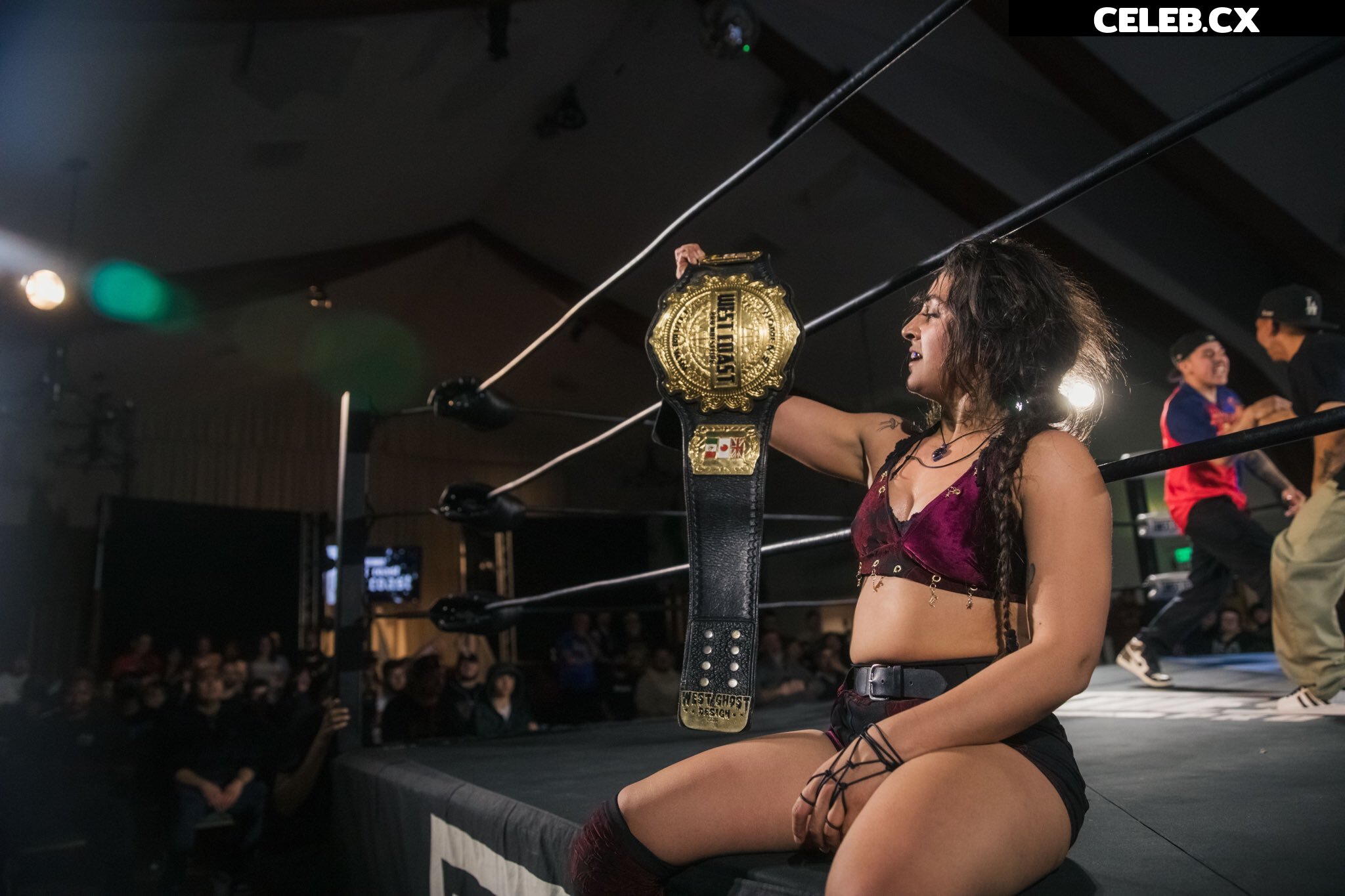 Women of Professional Wrestling Image 7852057