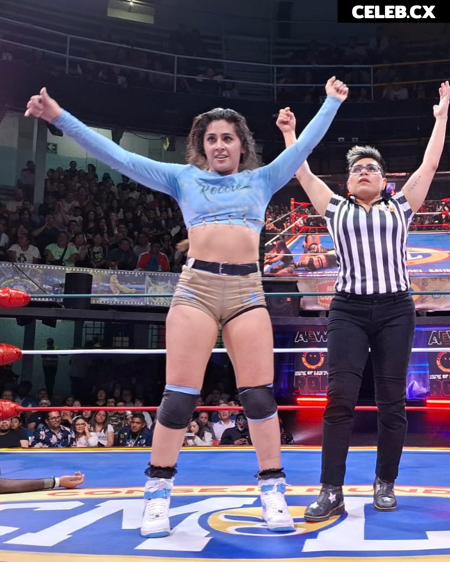 Women of Professional Wrestling Image 7852061