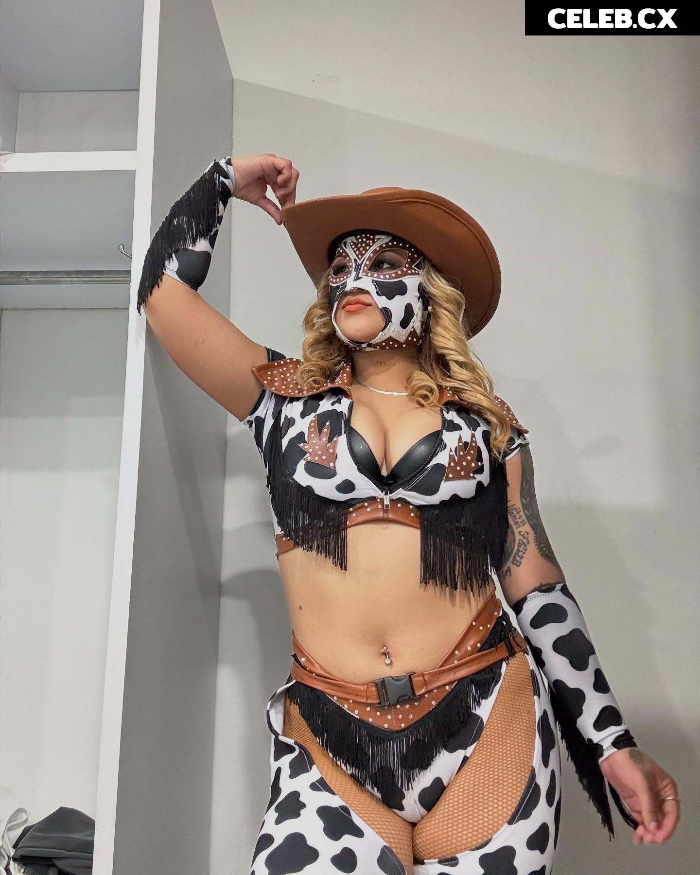 Women of Professional Wrestling Image 7949596