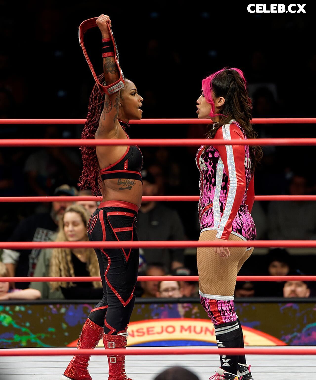 Women of Professional Wrestling Image 7926122