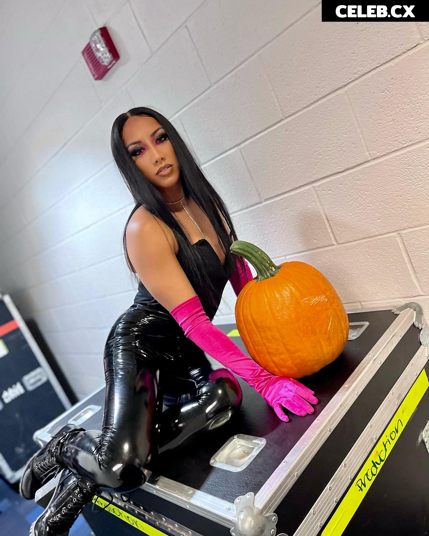 Women of Professional Wrestling Image 7597222