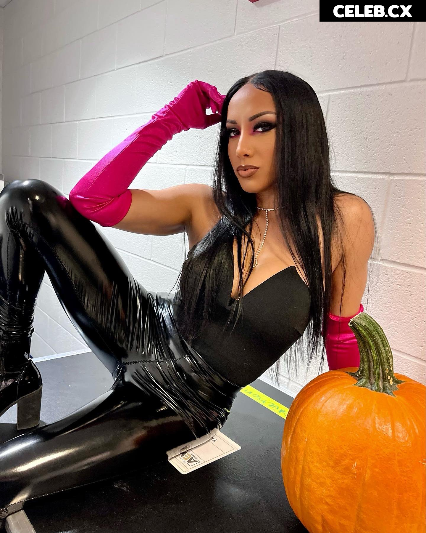 Women of Professional Wrestling Image 7597224