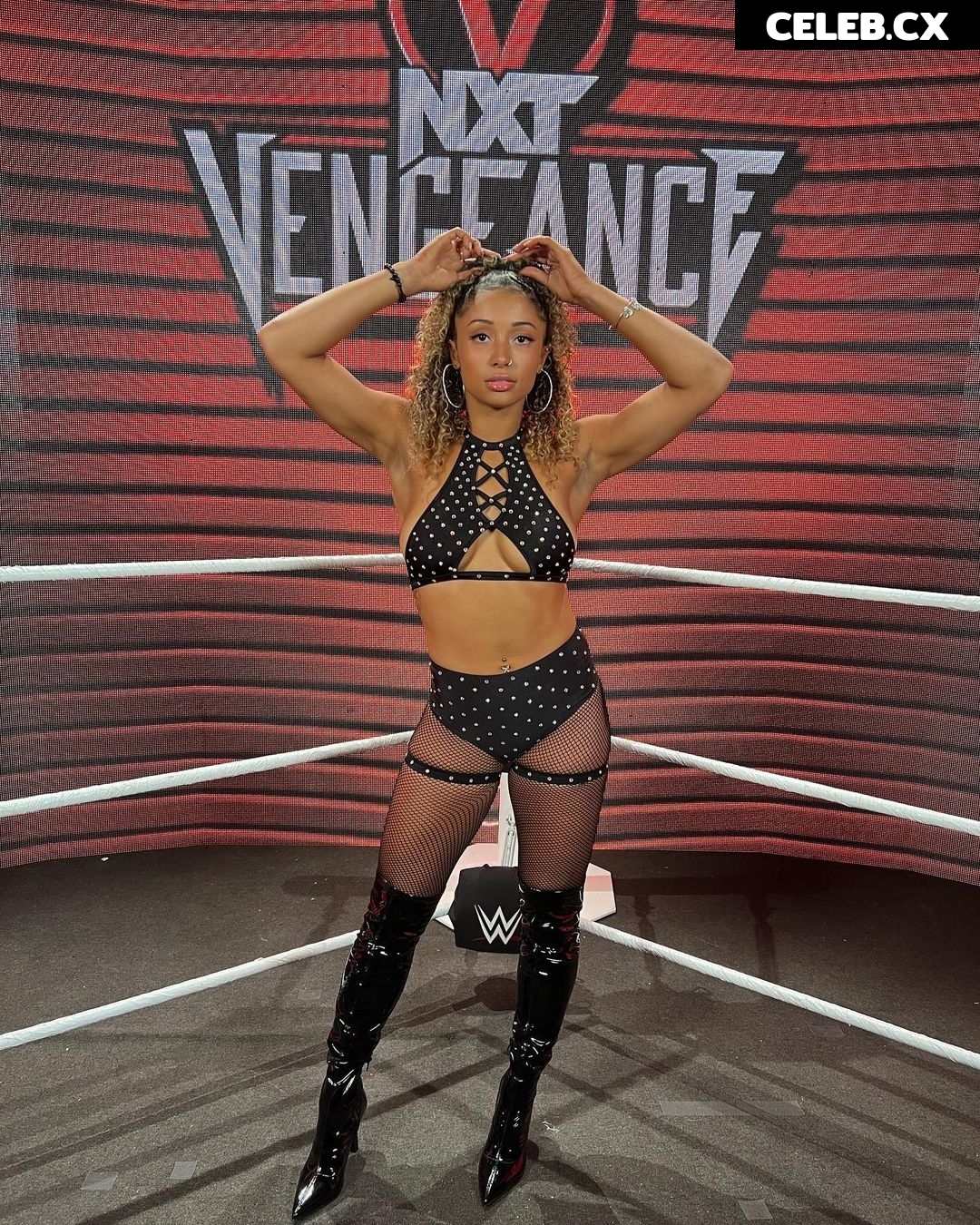 Women of Professional Wrestling Image 7599117