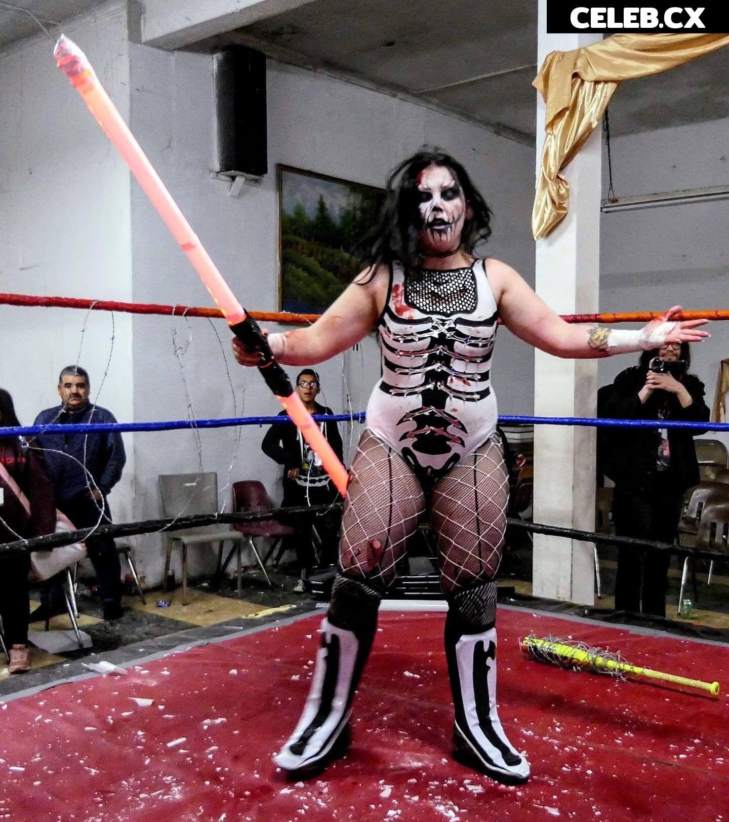 Women of Professional Wrestling Image 7599131