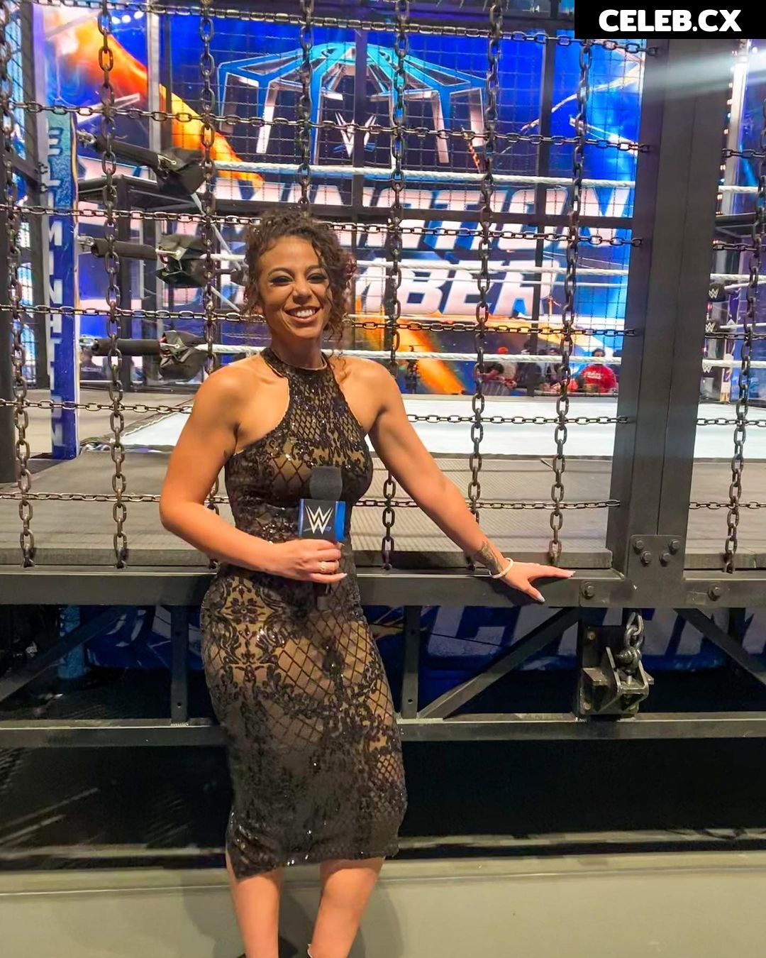 Women of Professional Wrestling Image 7598759