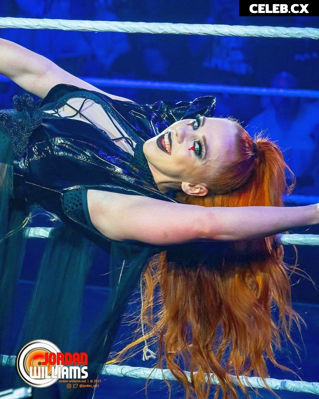 Women of Professional Wrestling Image 7598342