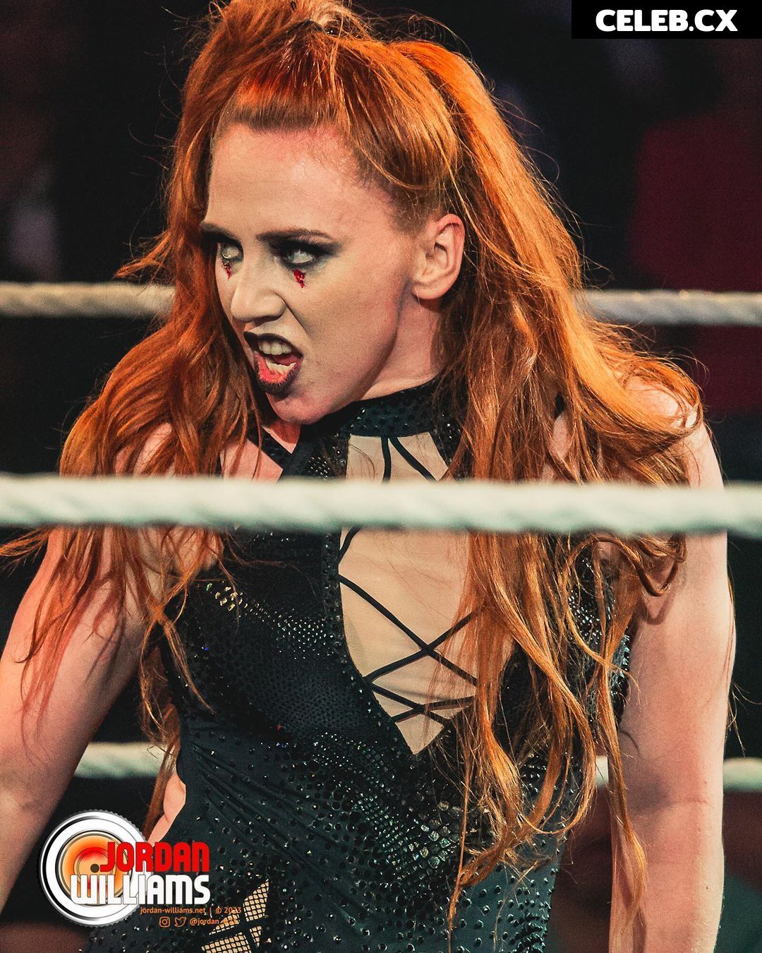 Women of Professional Wrestling Image 7598345
