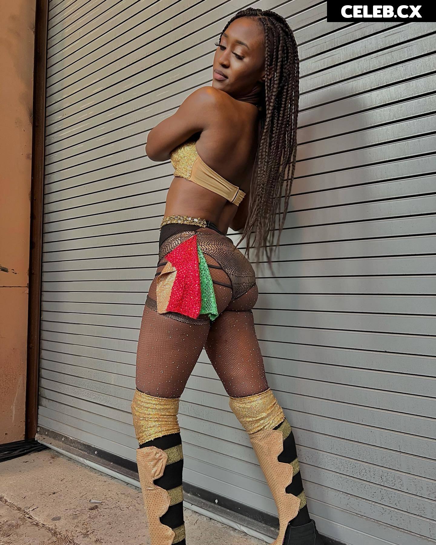 Women of Professional Wrestling Image 7598366