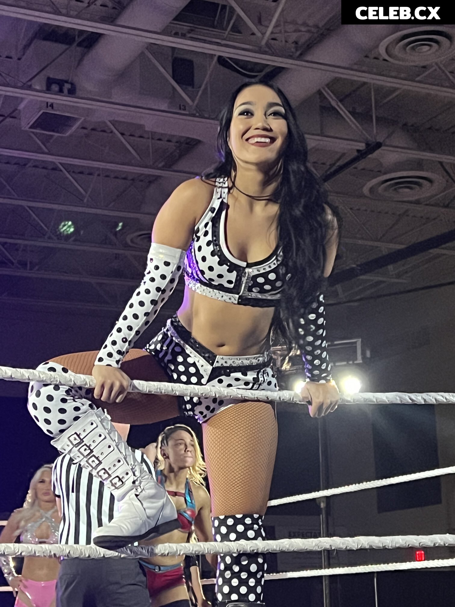 Women of Professional Wrestling Image 7598941