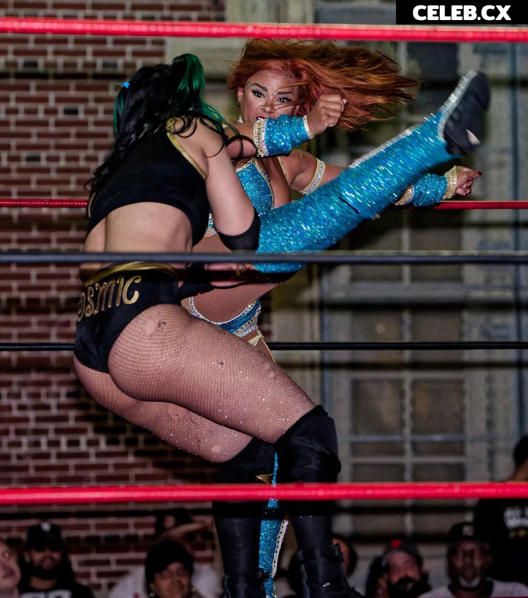 Women of Professional Wrestling Image 7598938