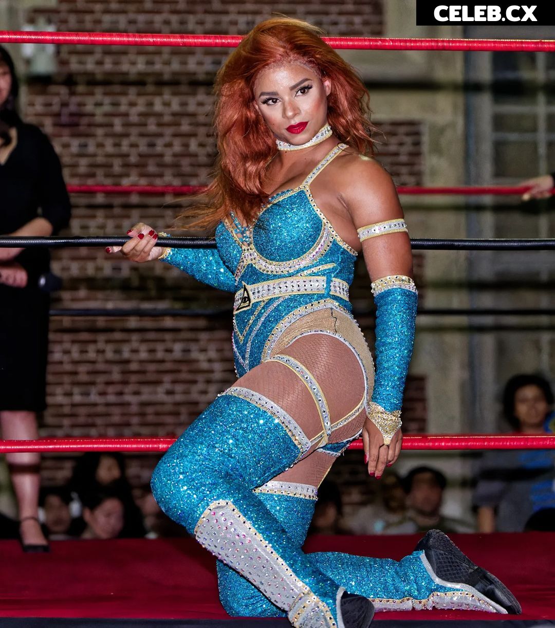 Women of Professional Wrestling Image 7598933