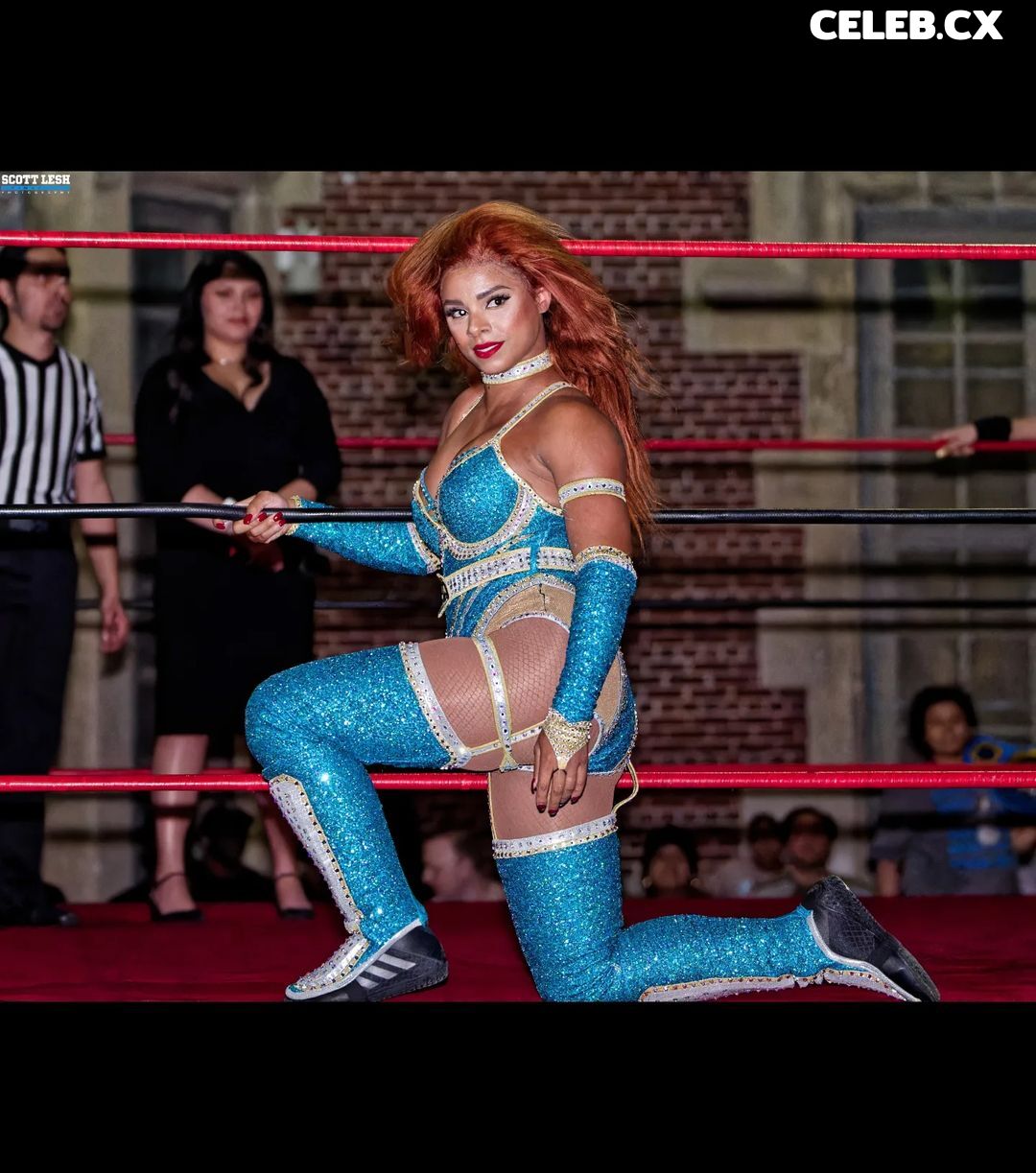Women of Professional Wrestling Image 7598936