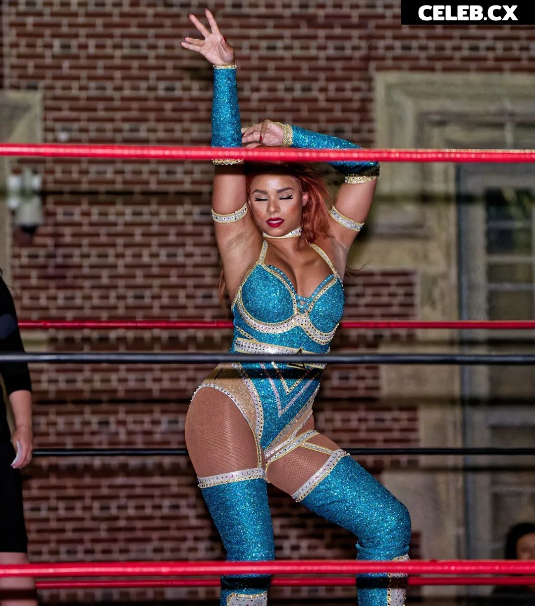Women of Professional Wrestling Image 7598934