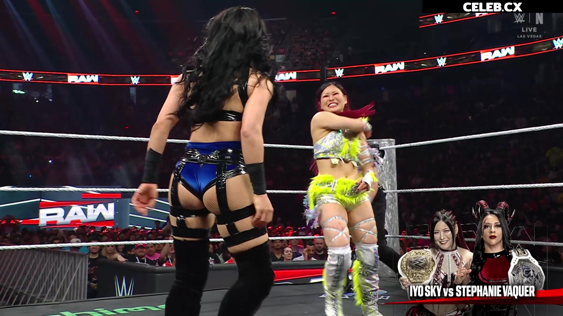 Women of Professional Wrestling Image 7604831