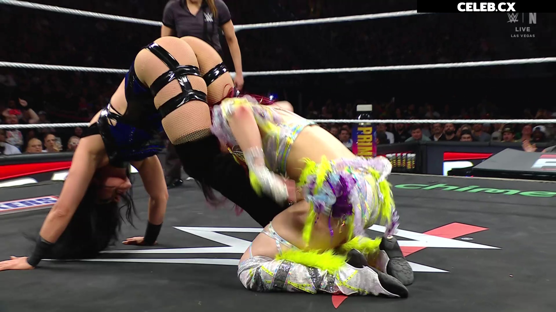 Women of Professional Wrestling Image 7604830