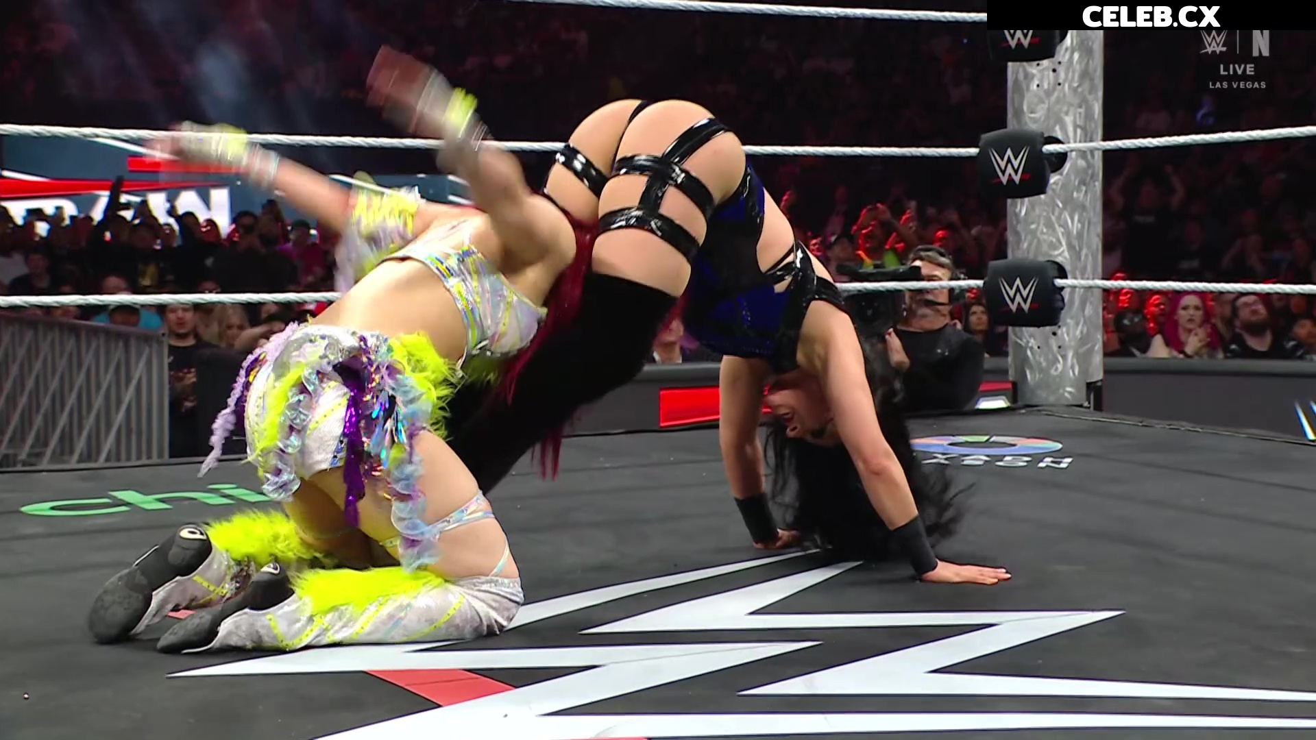Women of Professional Wrestling Image 7604829