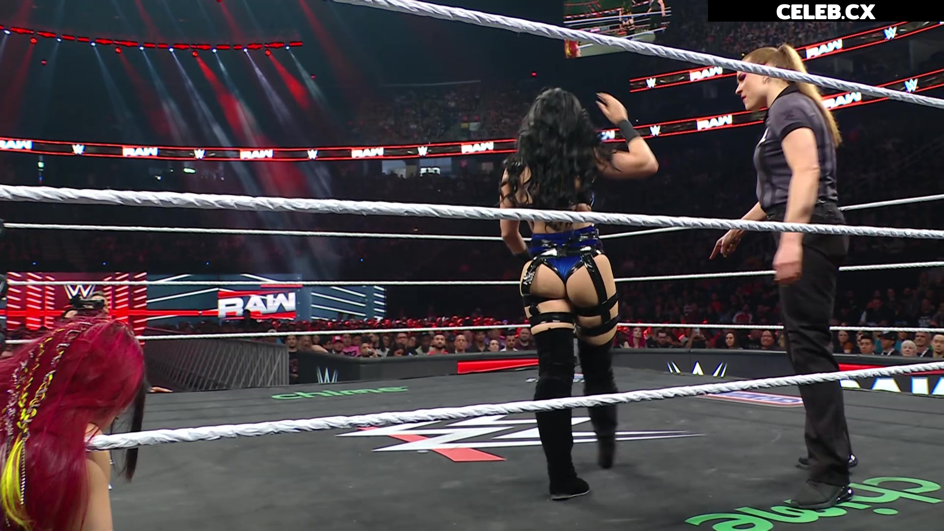 Women of Professional Wrestling Image 7604827