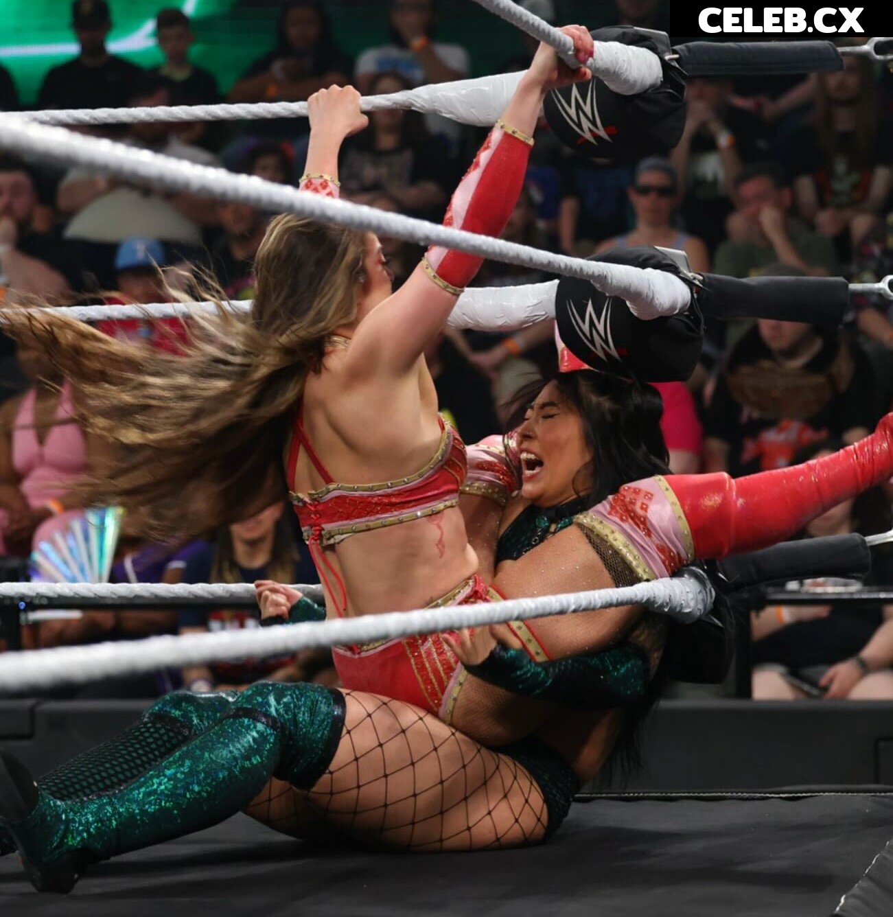 Women of Professional Wrestling Image 7604500
