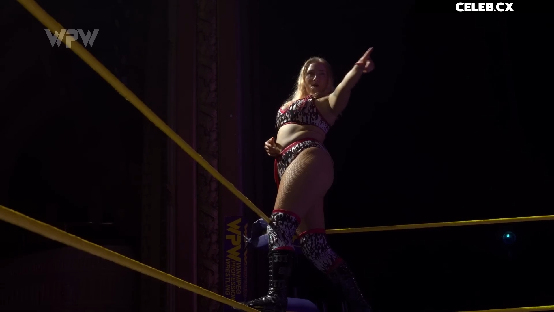 Women of Professional Wrestling Image 7604418