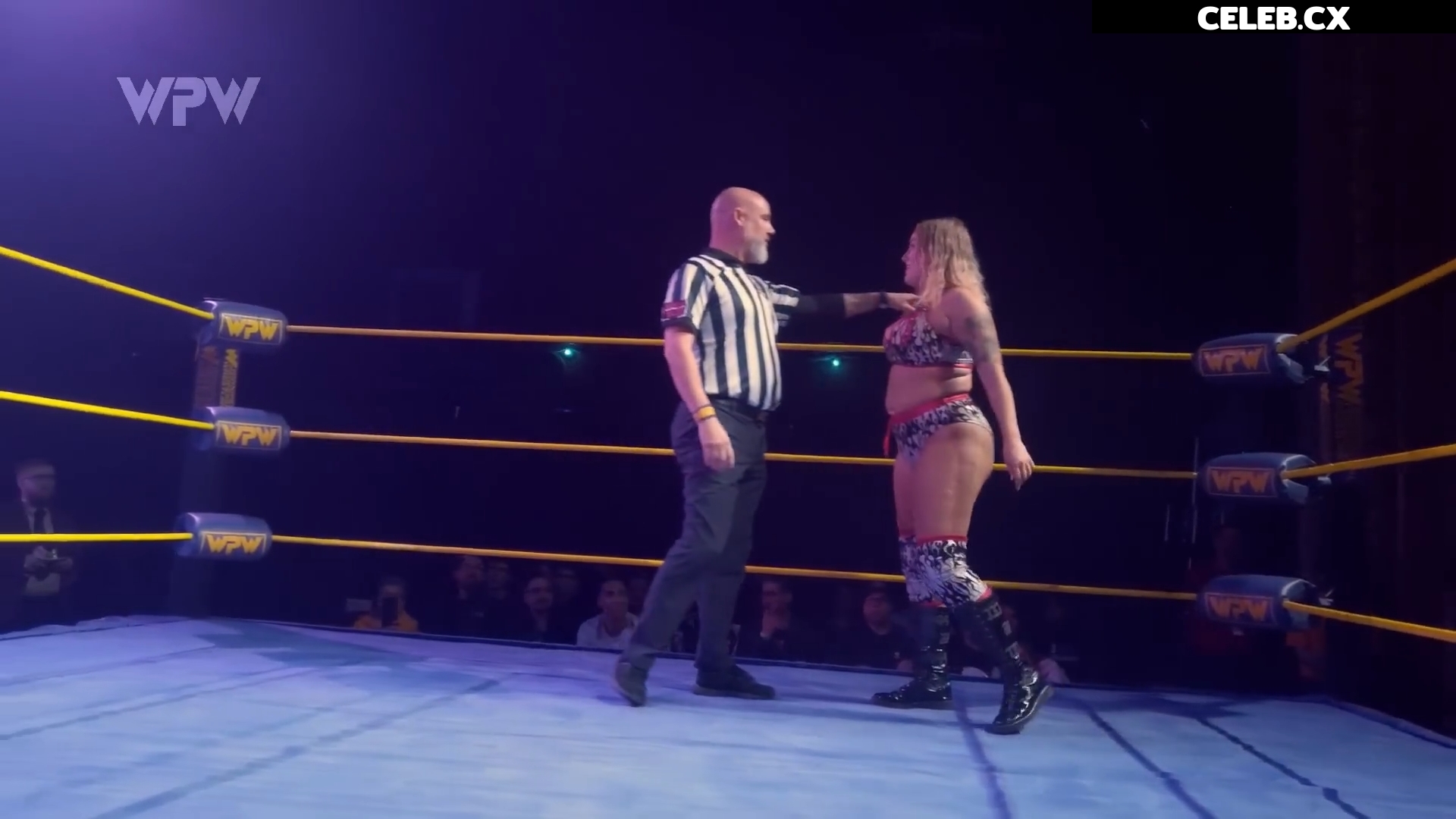 Women of Professional Wrestling Image 7604402