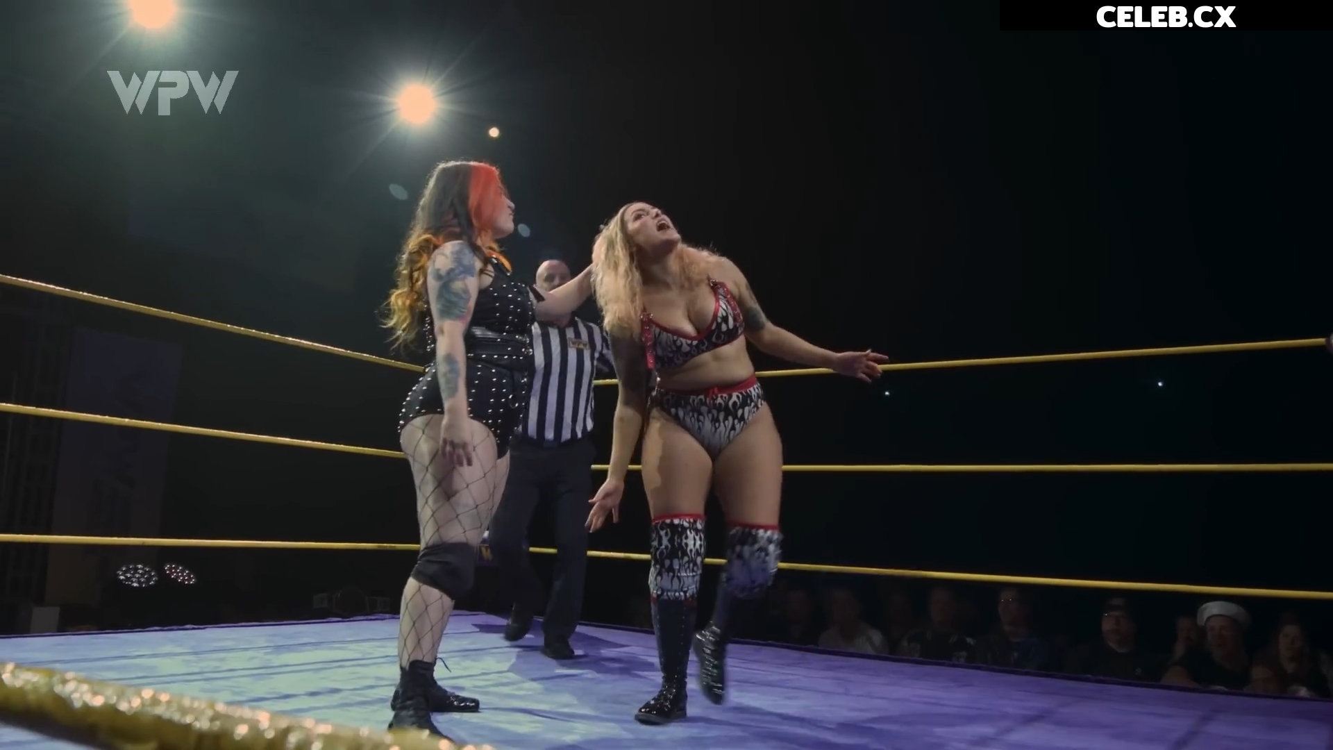 Women of Professional Wrestling Image 7604401