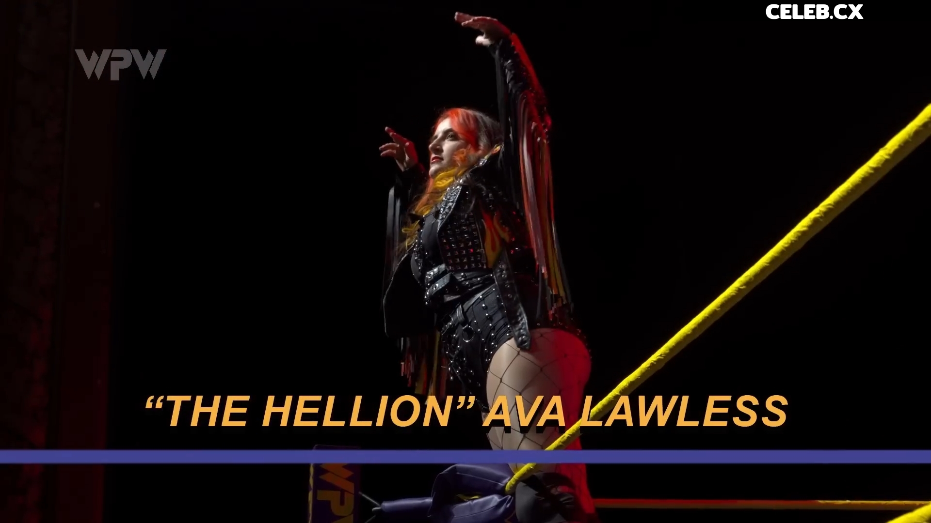 Women of Professional Wrestling Image 7604400