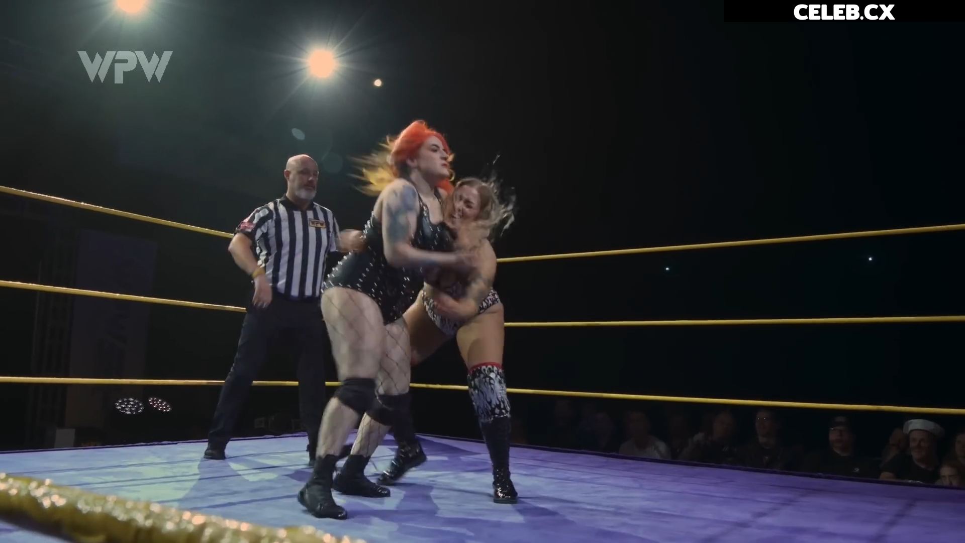 Women of Professional Wrestling Image 7604403